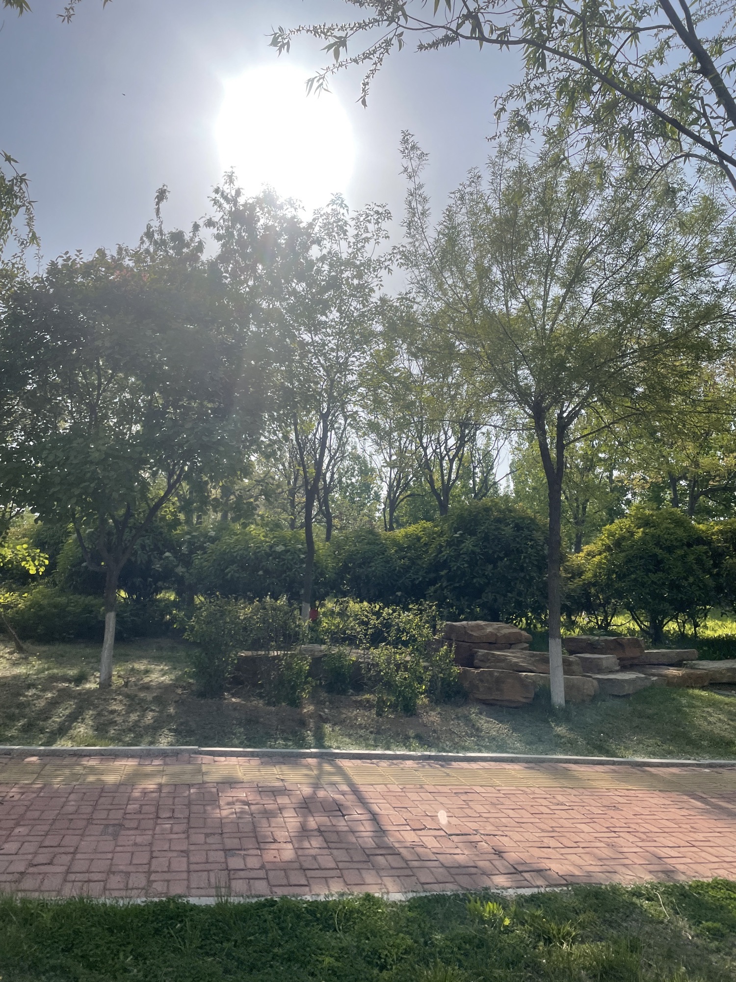 青岛澜湾艺术公园旅行图片 3