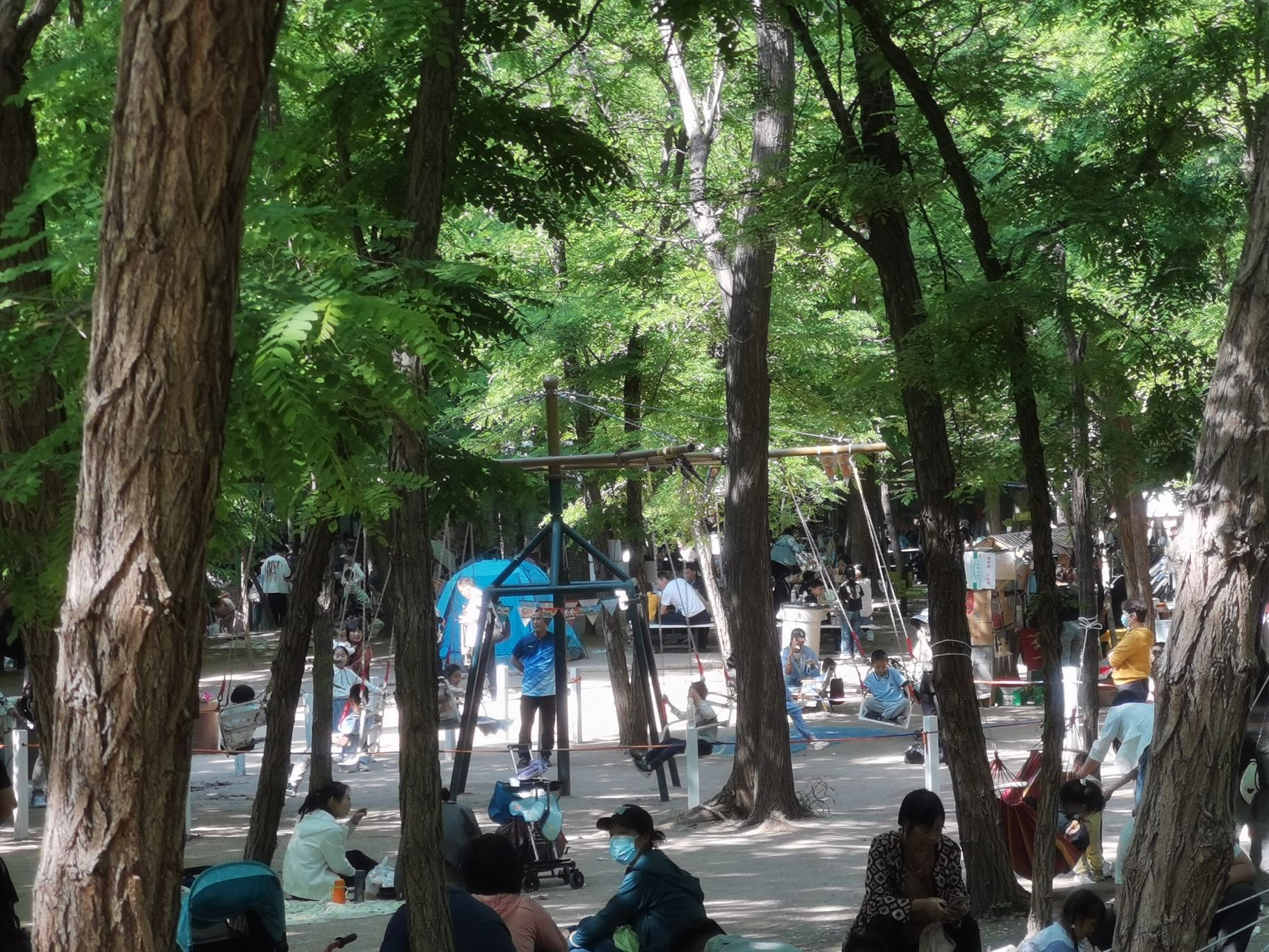沙窝森林世界旅行图片 2