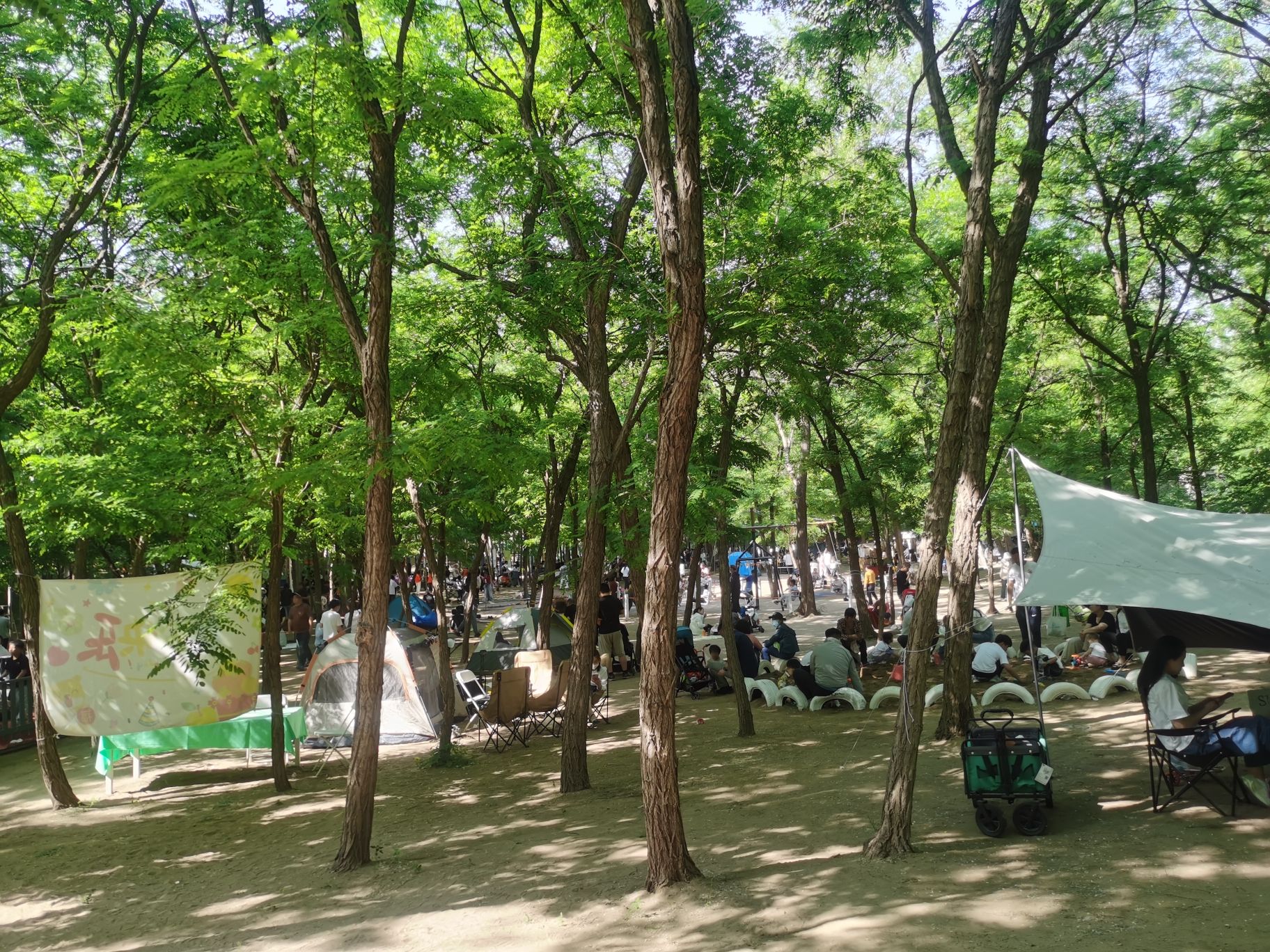 沙窝森林世界旅行图片 3