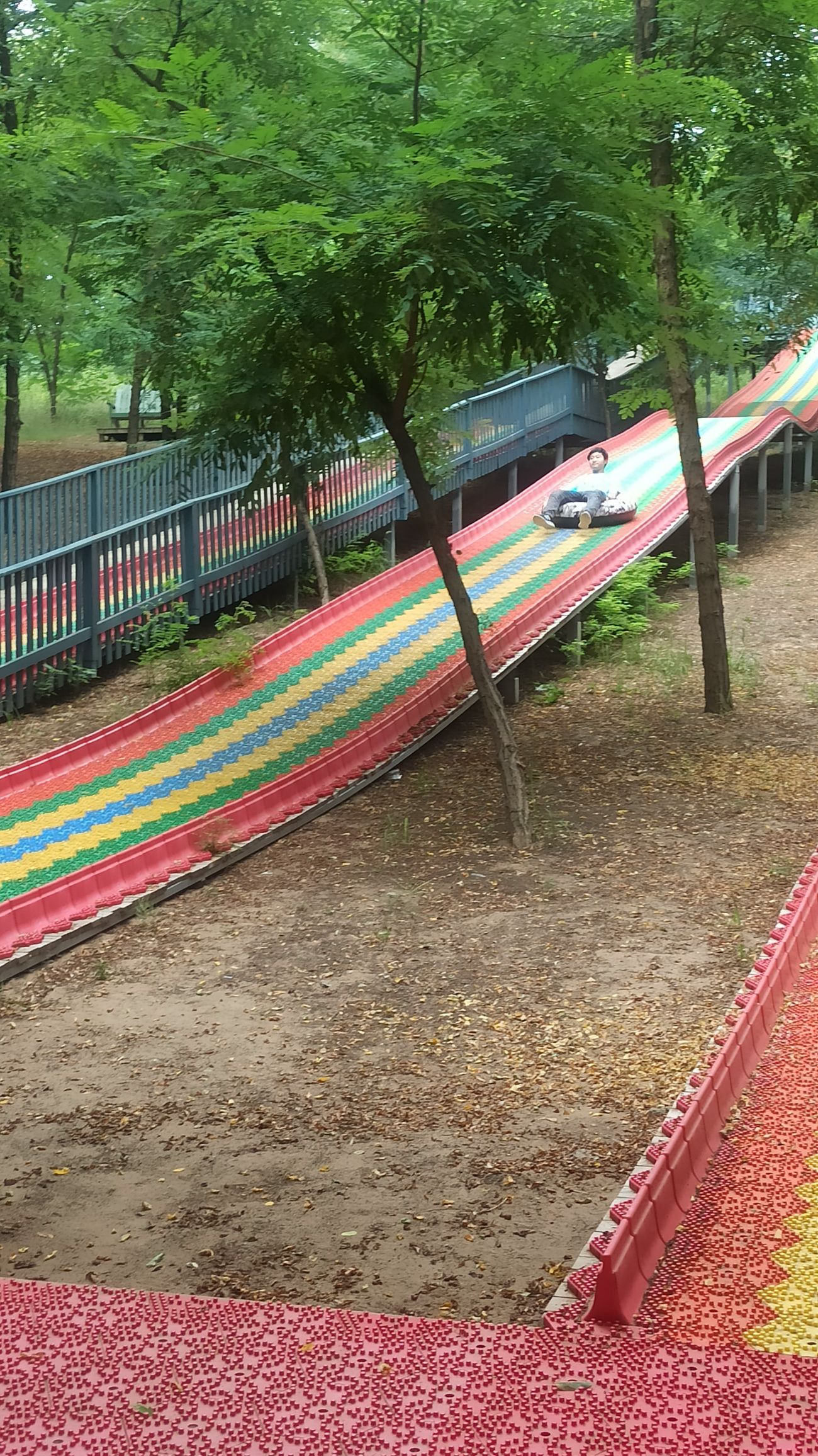 沙窝森林世界旅行图片