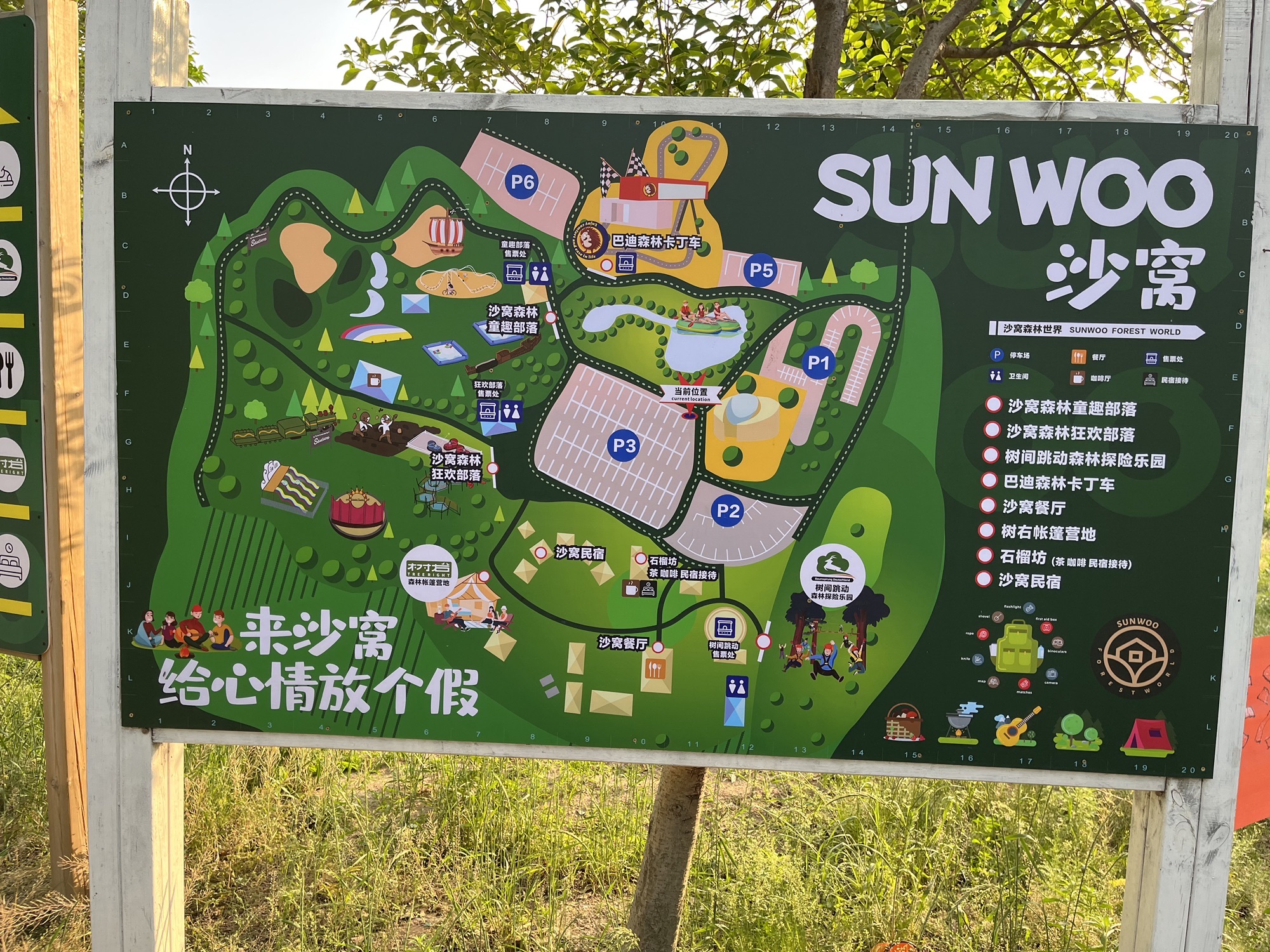 沙窝森林世界旅行图片