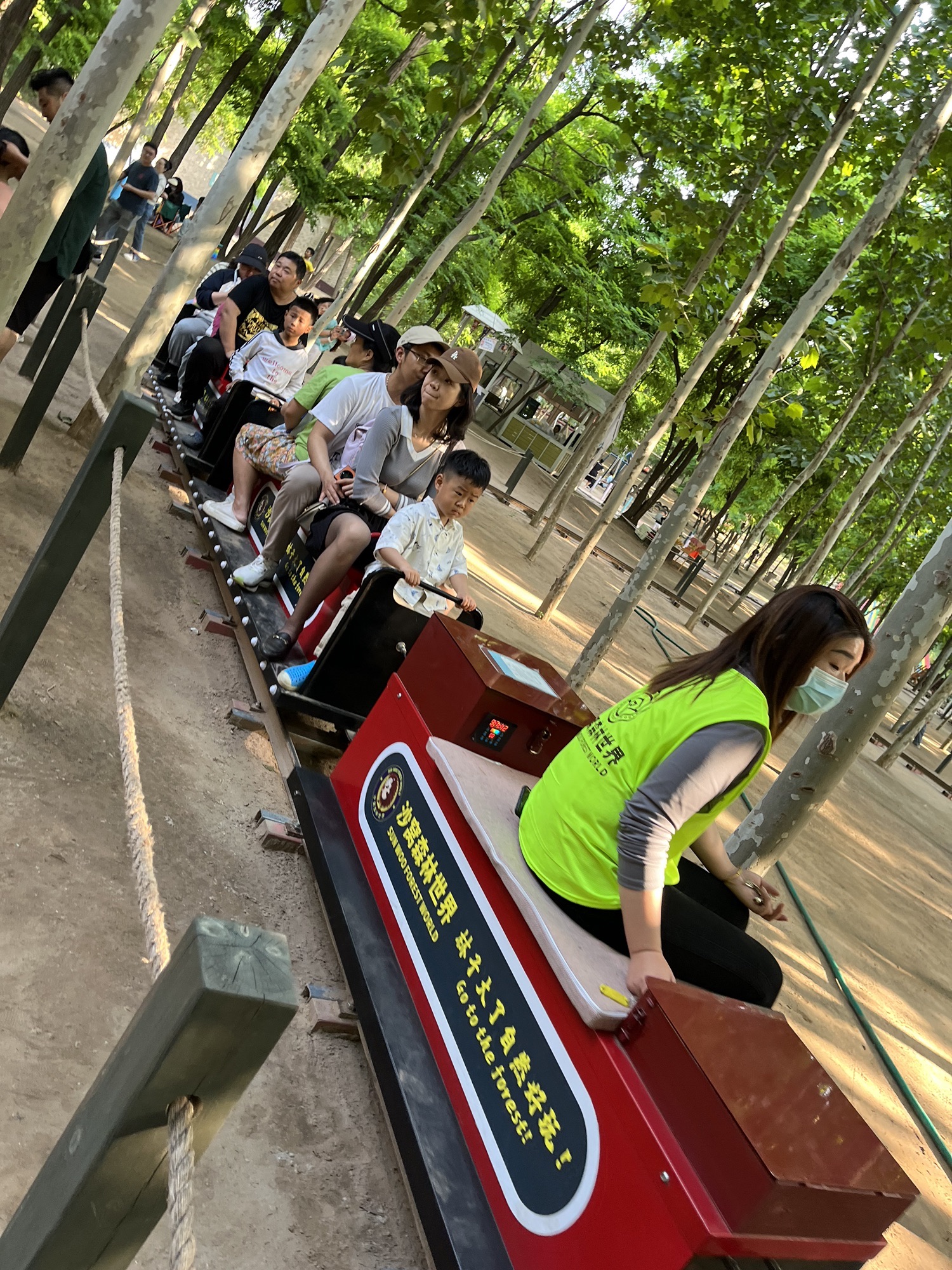 沙窝森林世界旅行图片 2