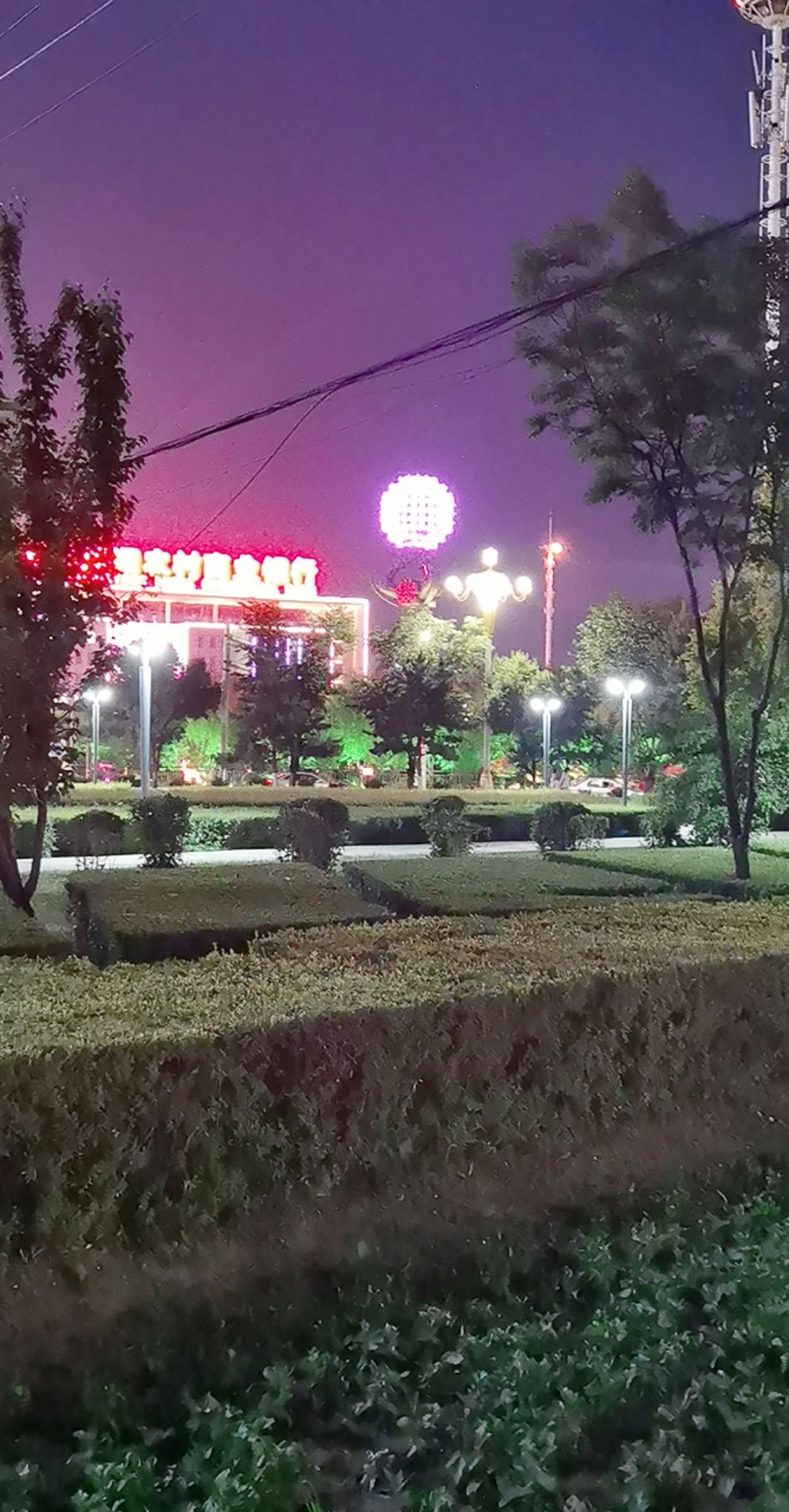 雕塑公园旅行图片 3