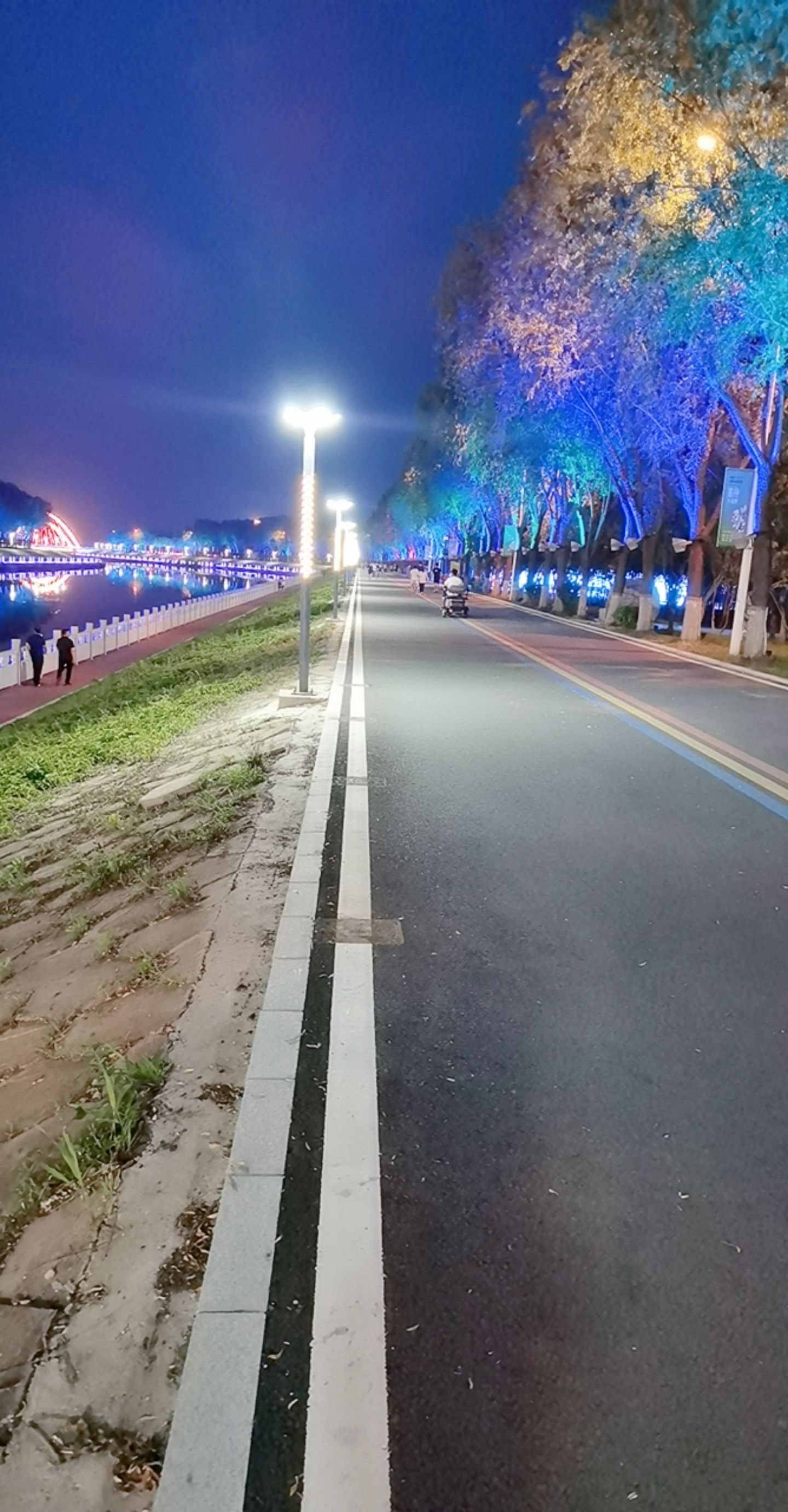 雕塑公园旅行图片 2
