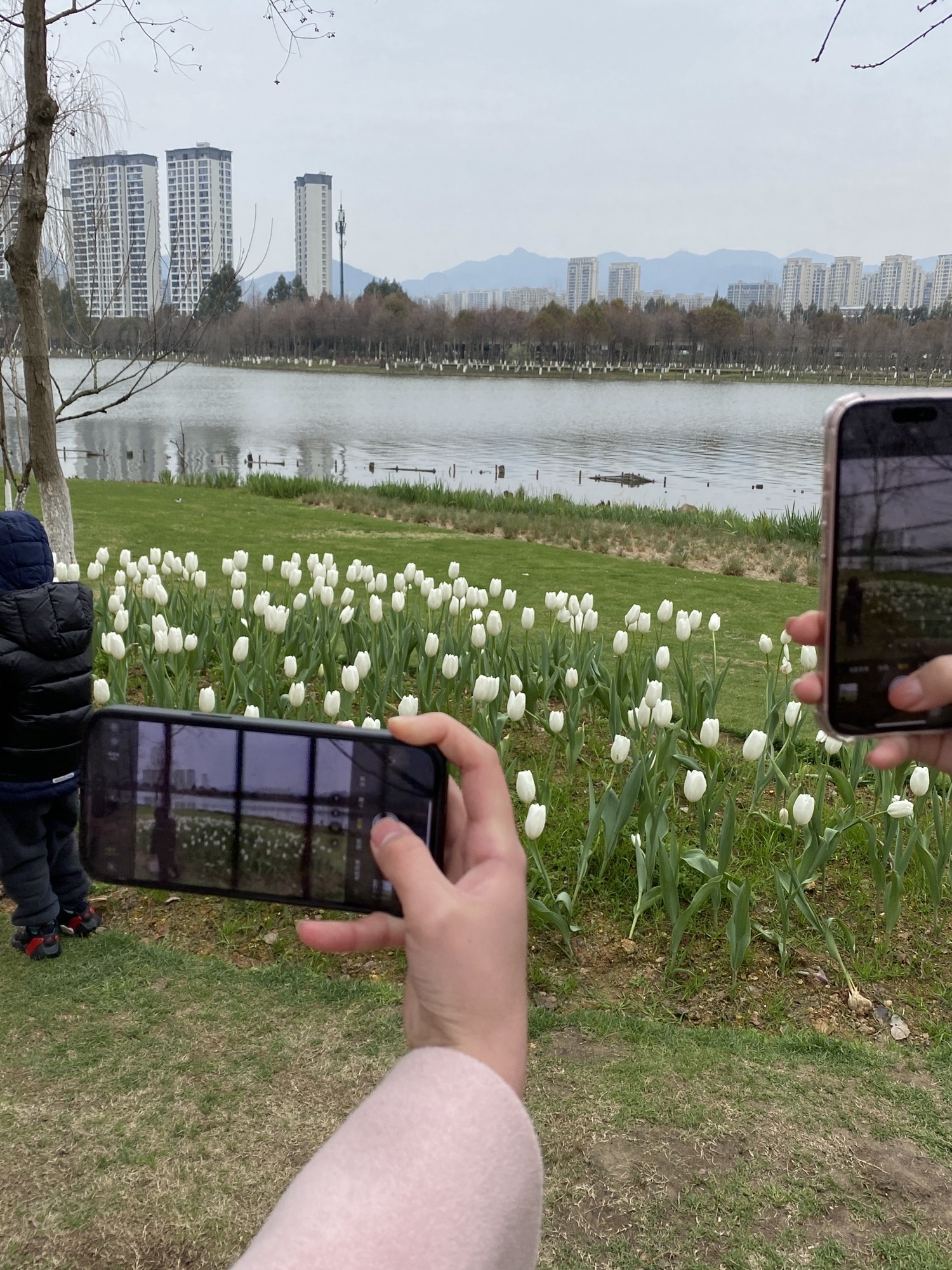 乐清市清和公园旅行图片 2