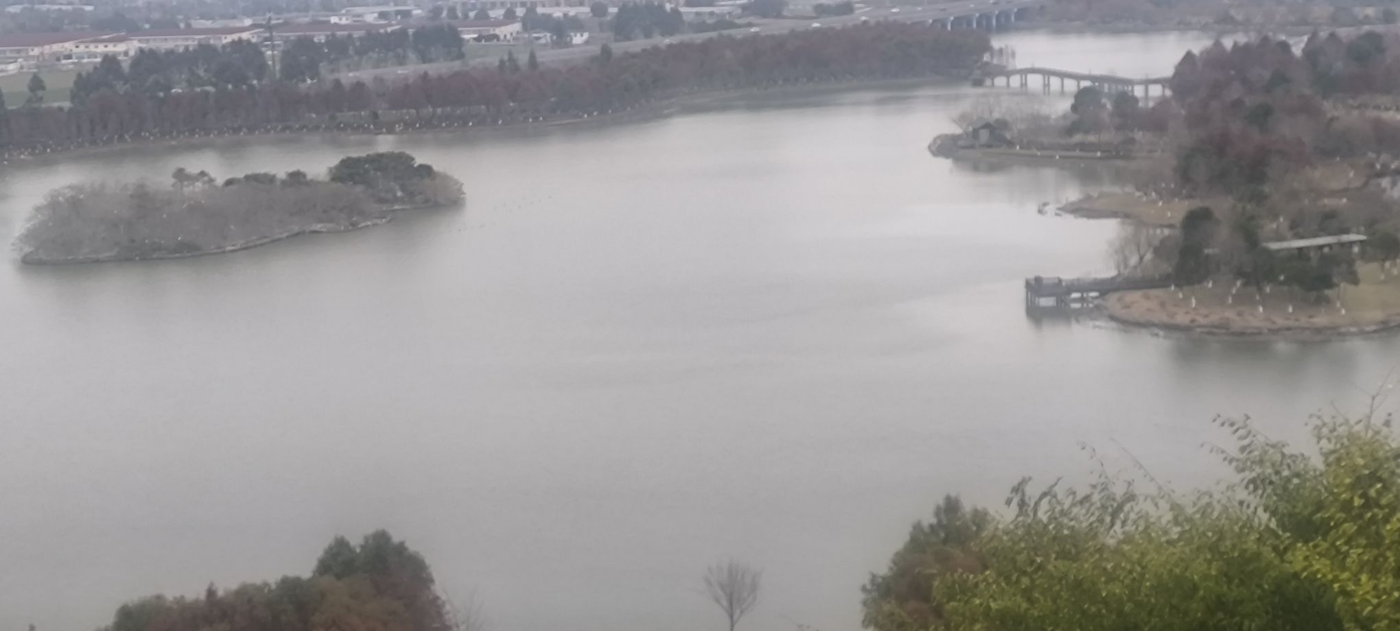 乐清市清和公园旅行图片 1