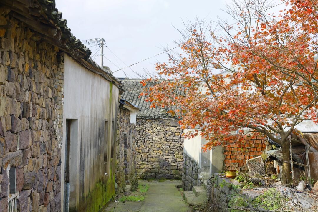 四明山观景台旅行图片 1