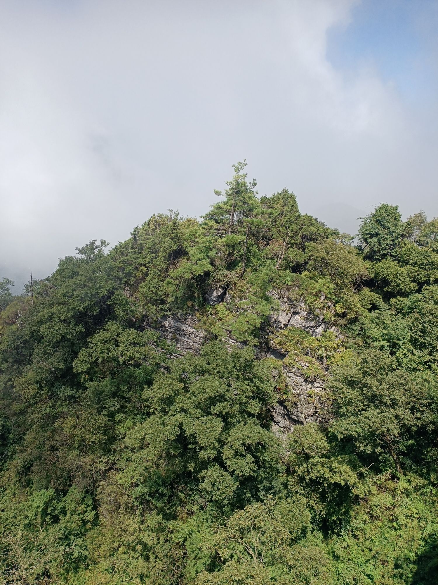 四明山观景台旅行图片 1