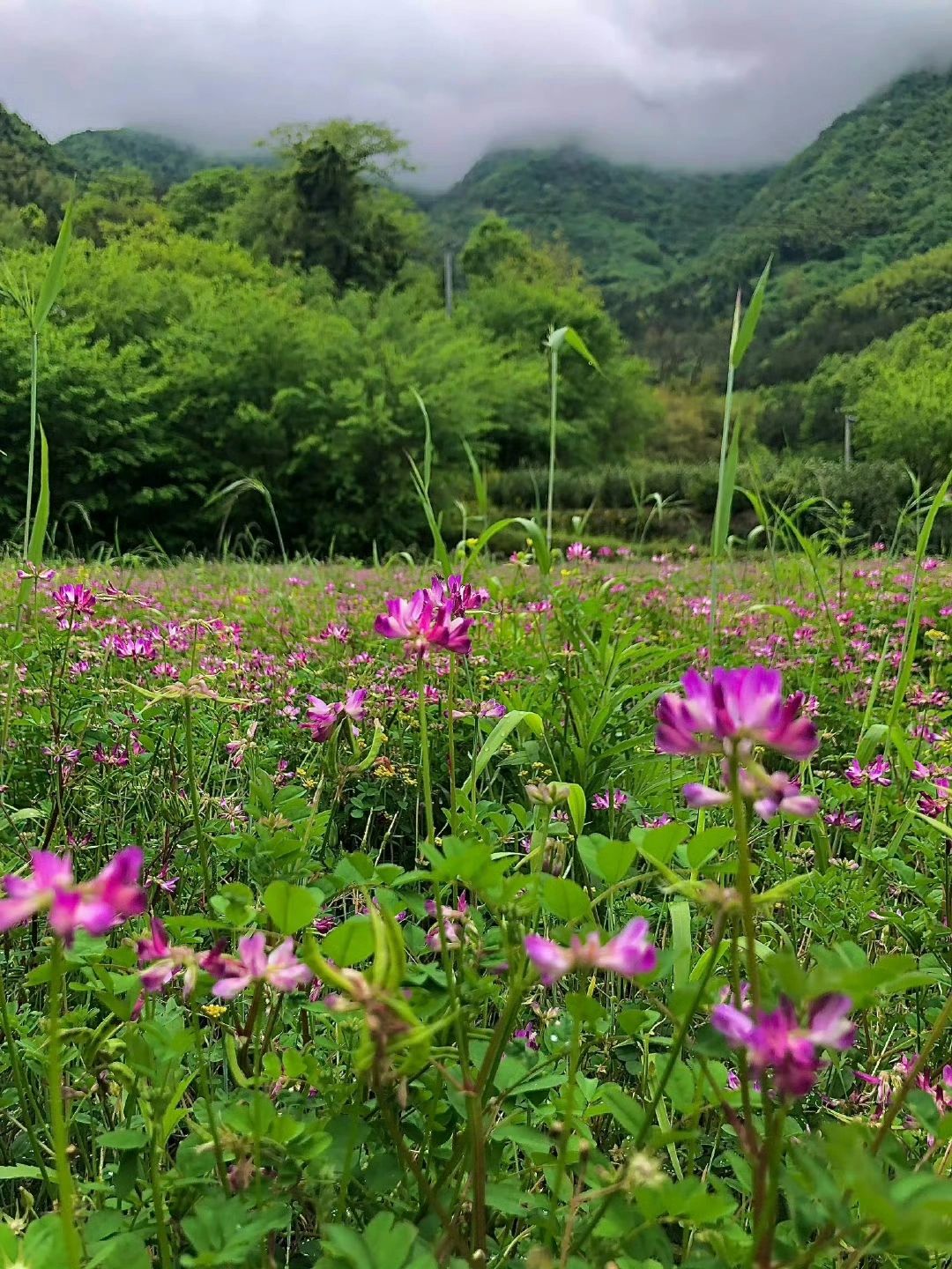 尖山湖公园旅行图片 1