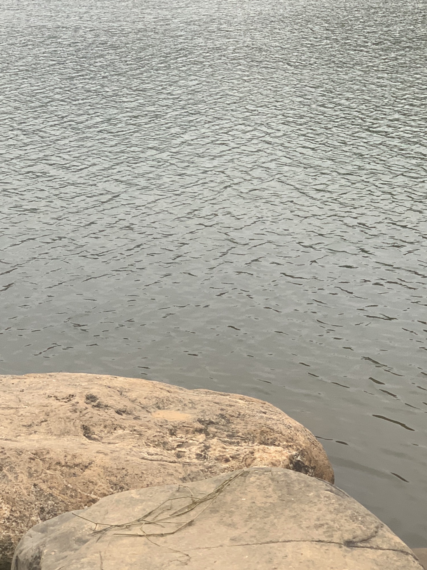 尖山湖公园旅行图片 3