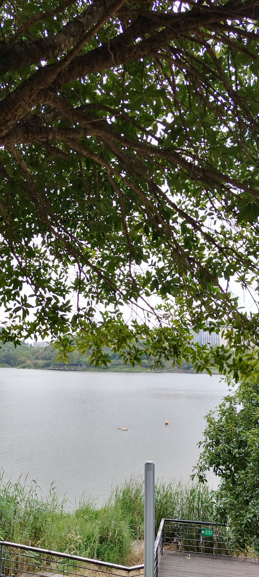 尖山湖公园旅行图片 3