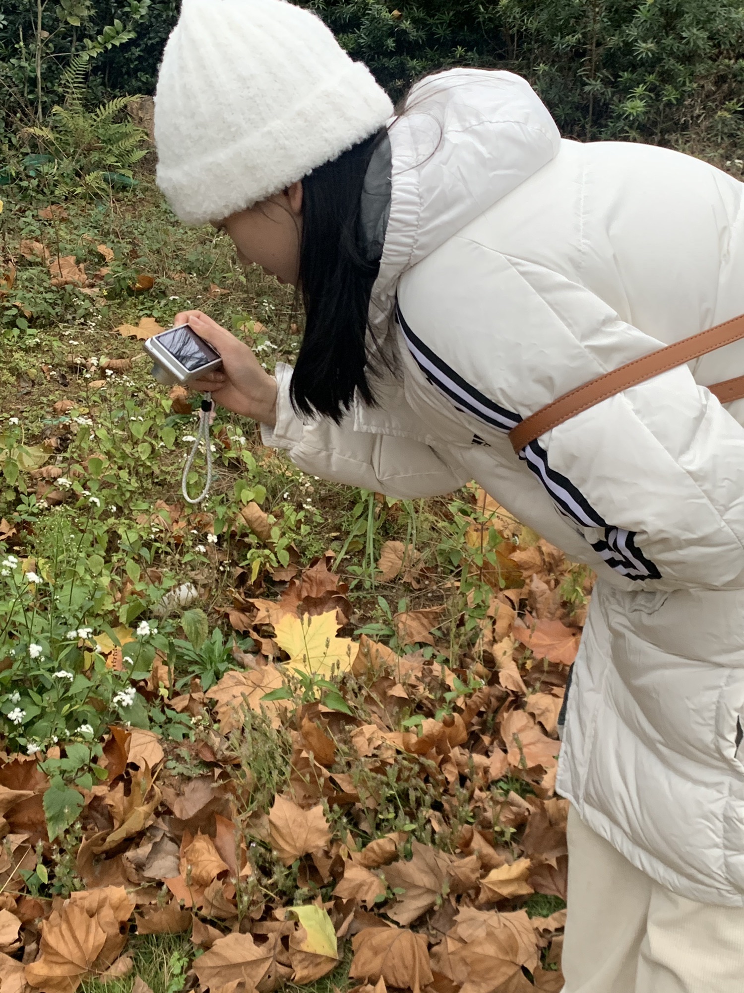 尖山湖公园旅行图片 1