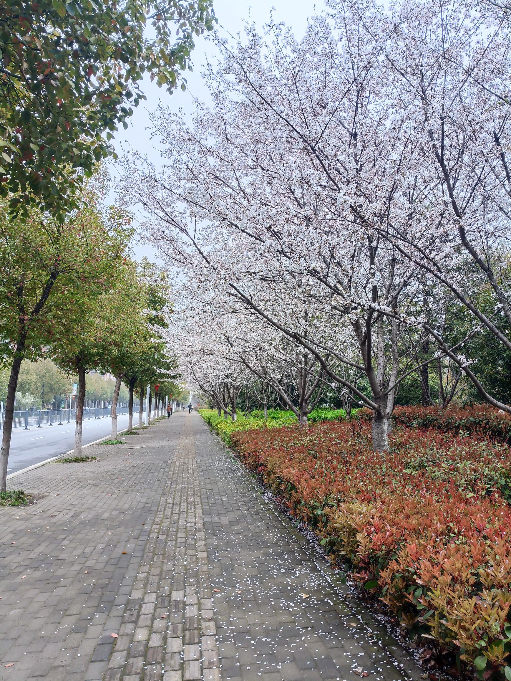 万春街心公园旅行图片 2