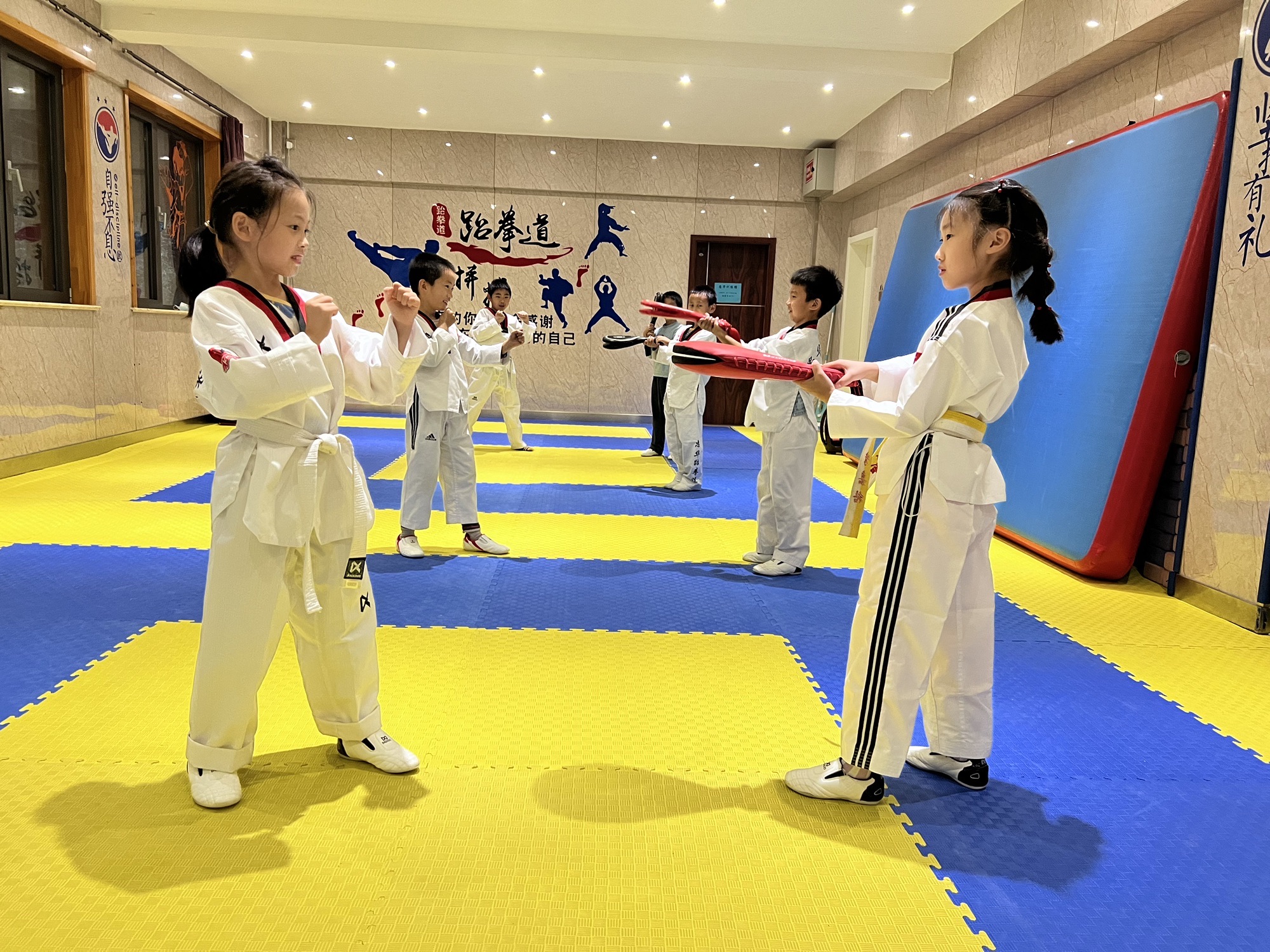 场地封面-忠华跆拳道