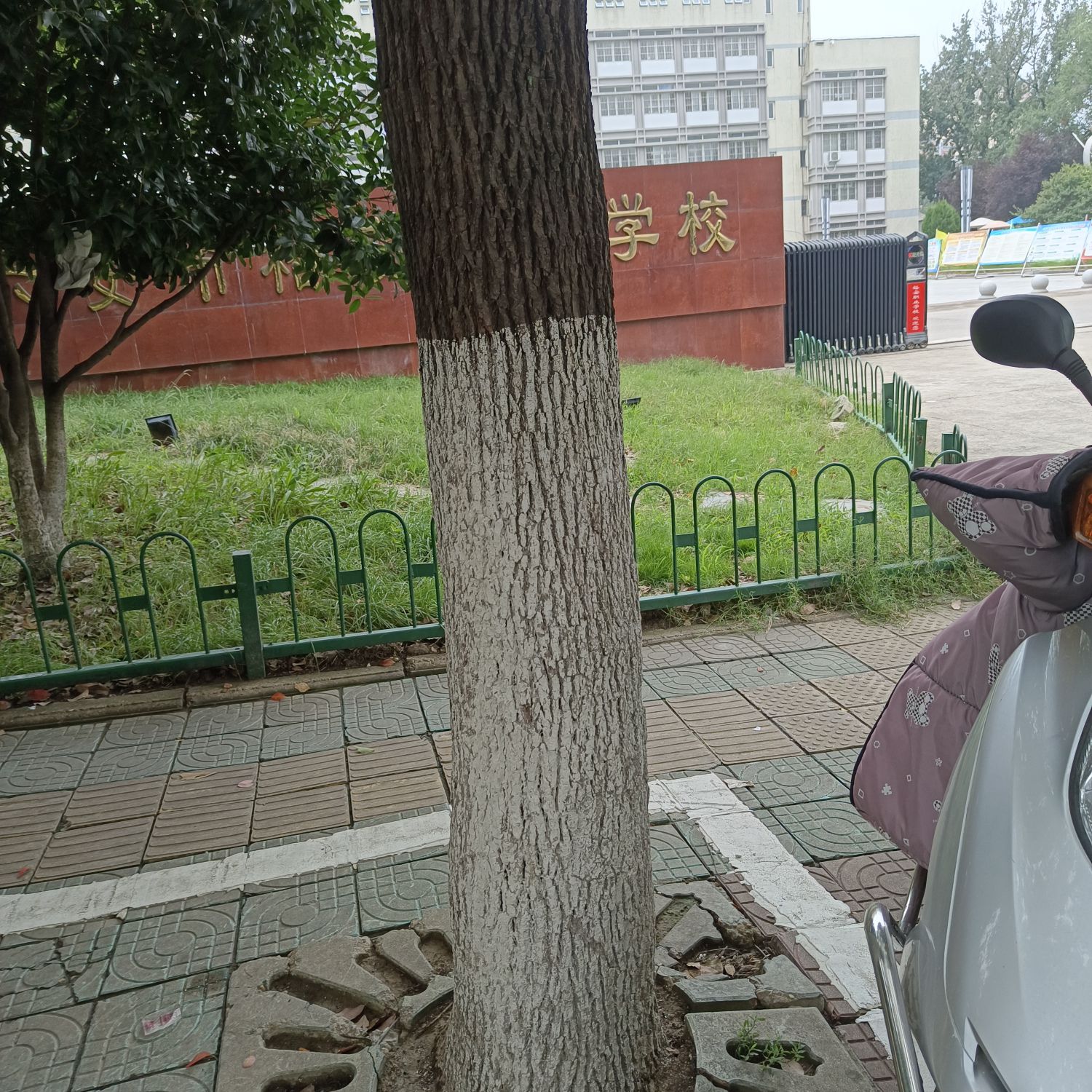 六安市裕安职业学校