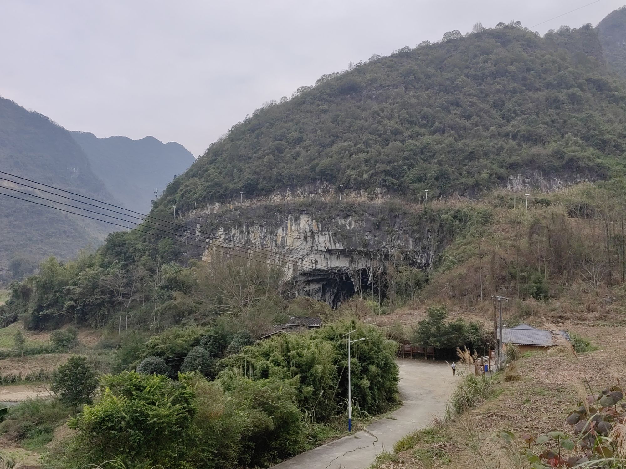 凤山同寿山水旅行图片 1