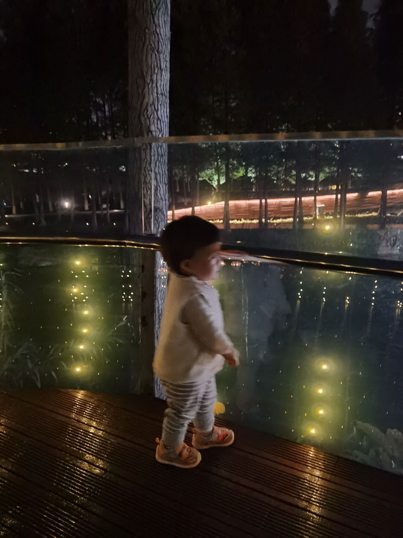 鸣凤漙公园旅行图片 1