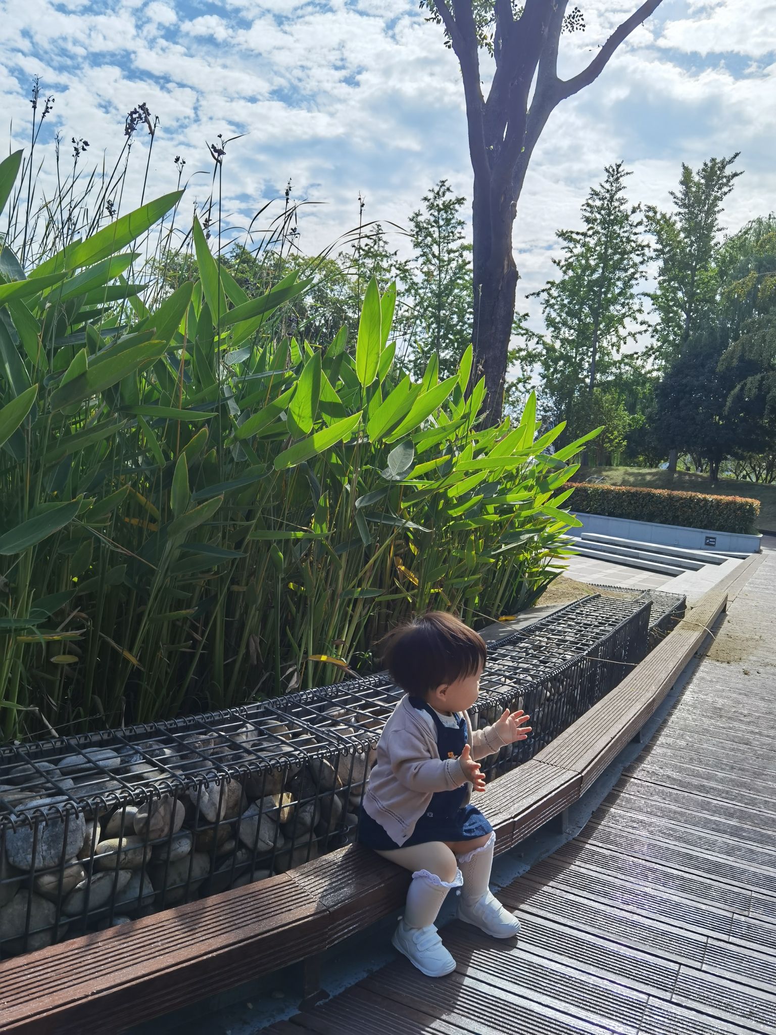 鸣凤漙公园旅行图片 2