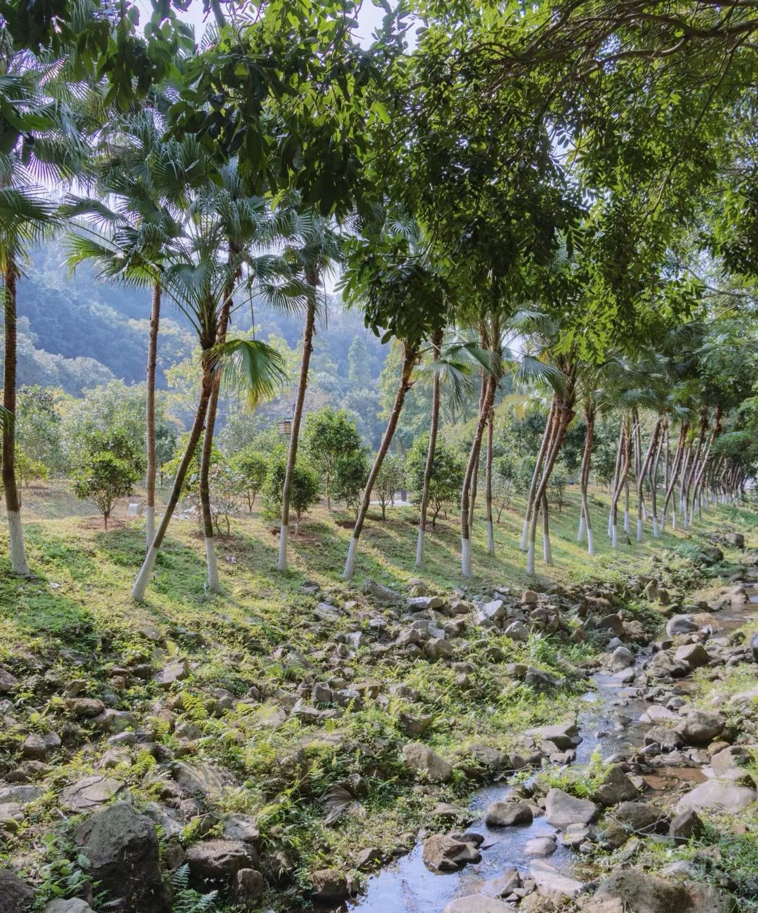 崴螺山森林公园旅行图片 2
