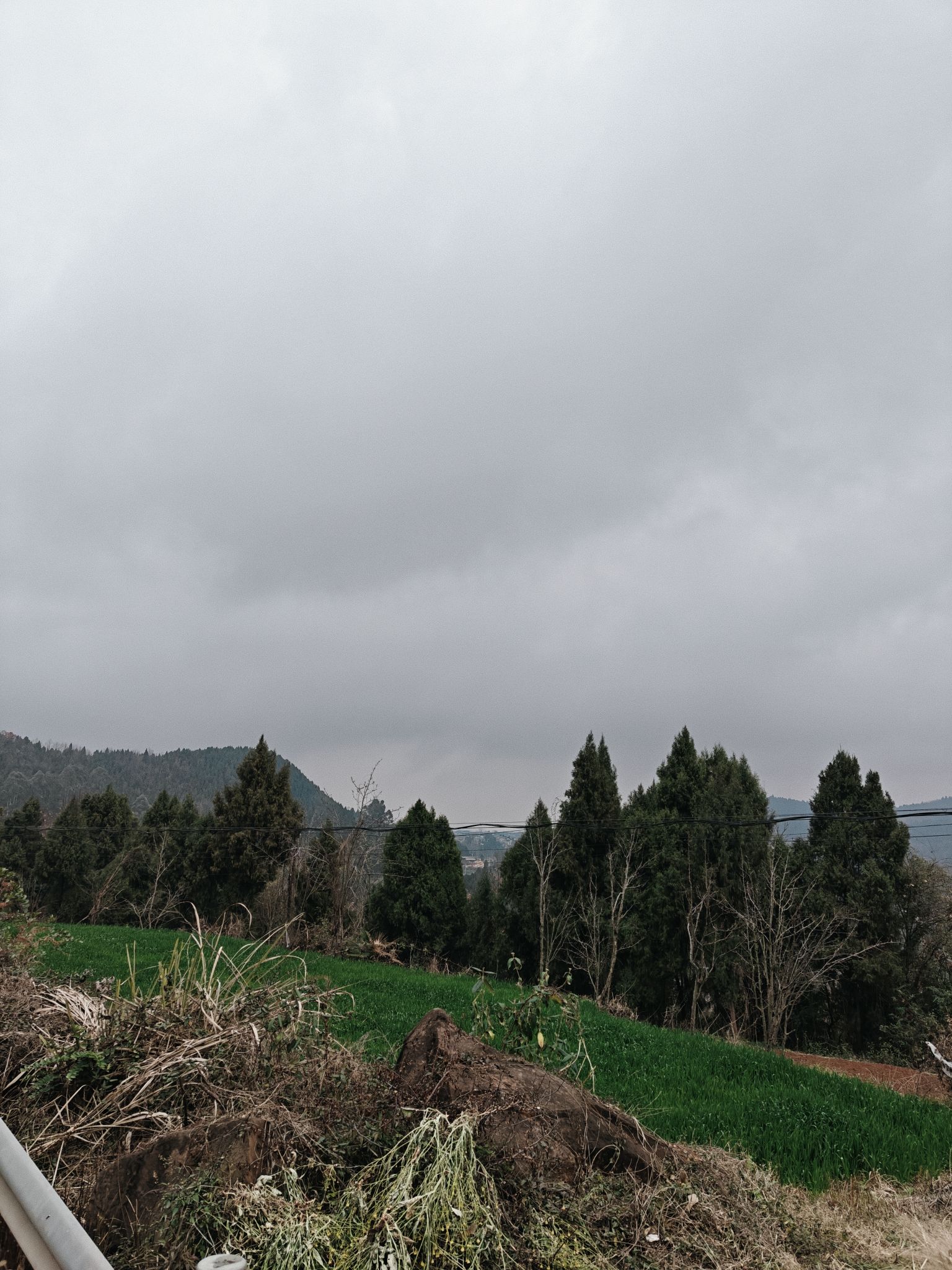 崴螺山森林公园旅行图片 1