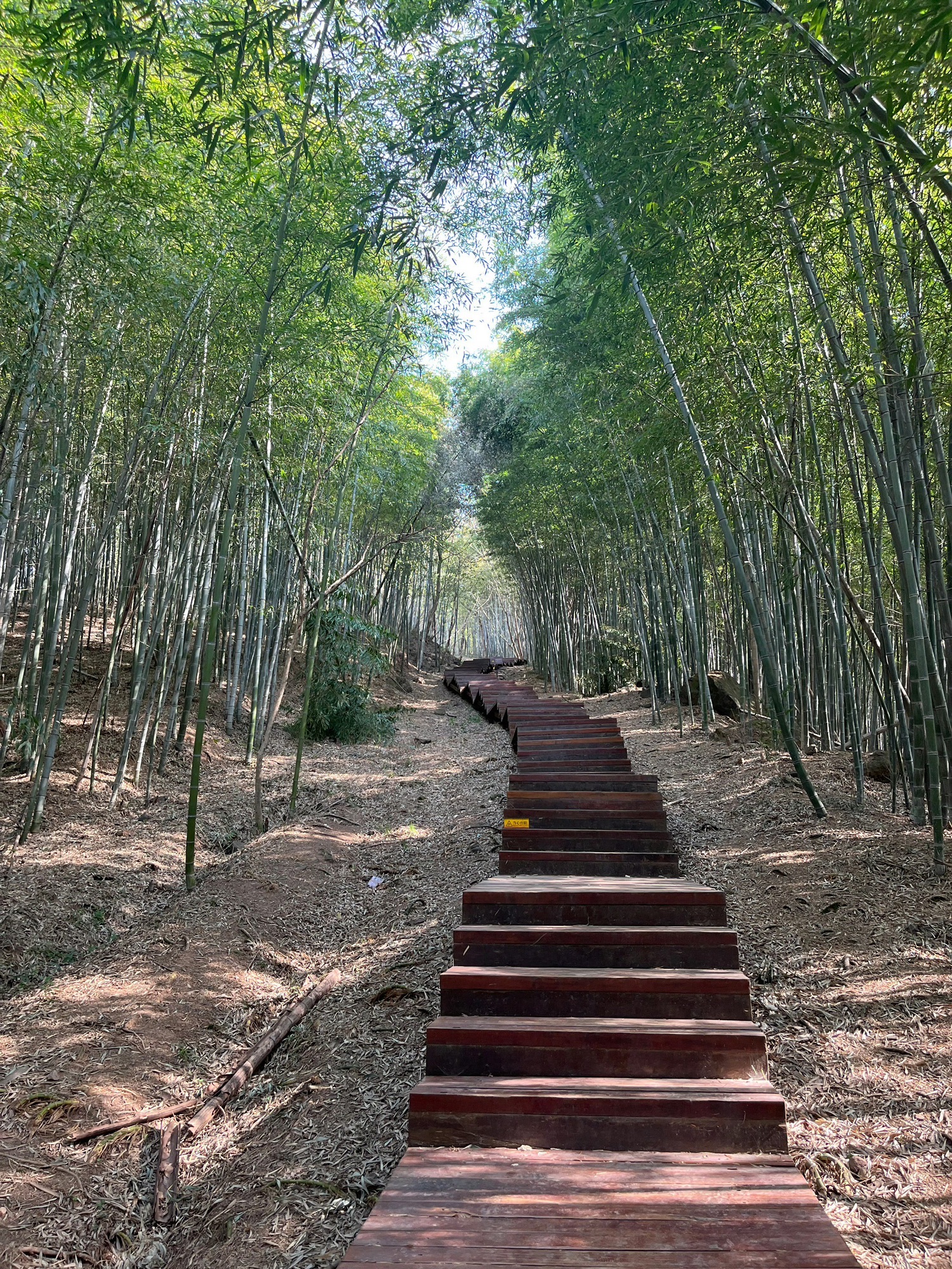 南京市无想山景区旅行图片 2