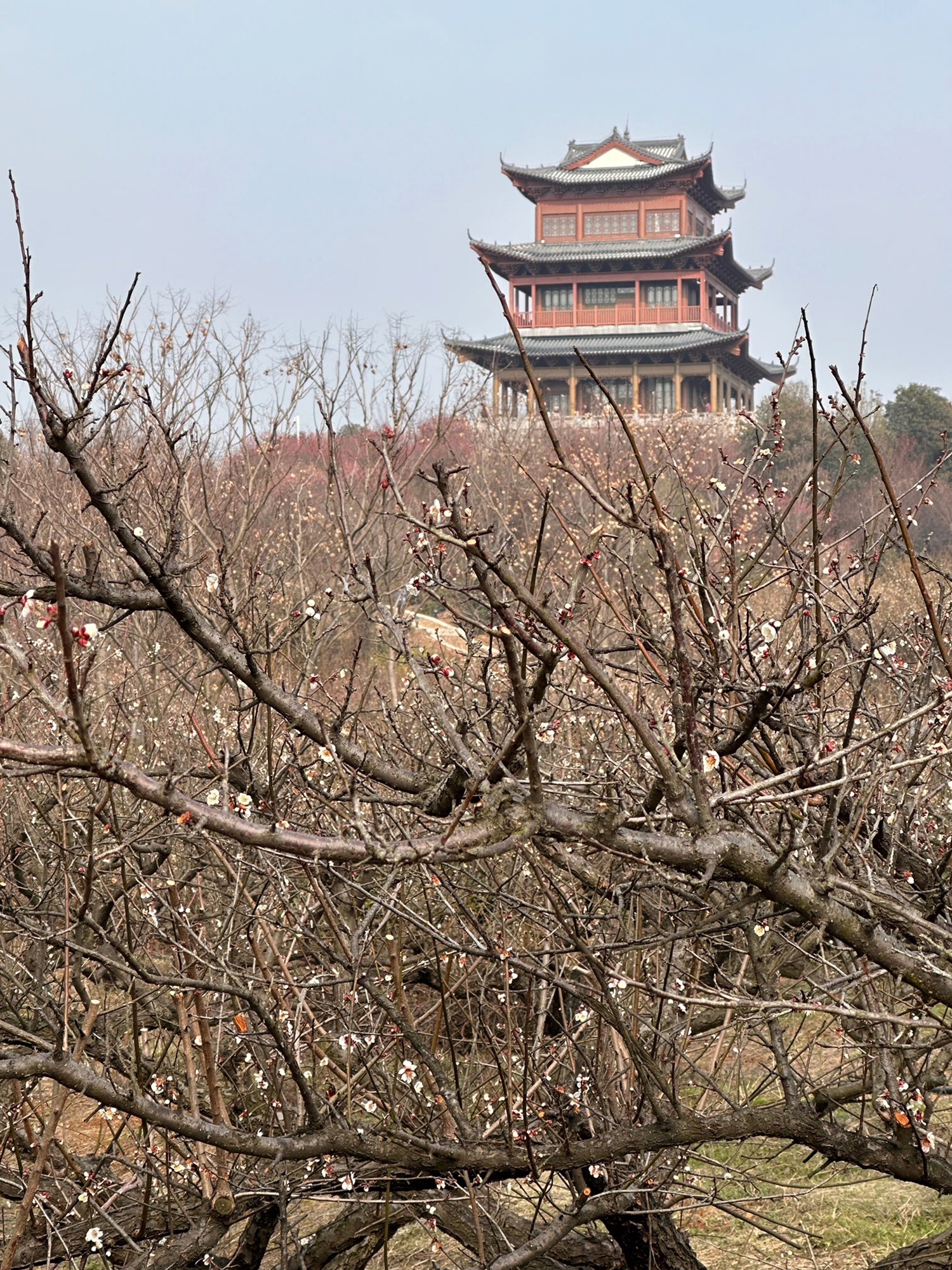南京市无想山景区旅行图片 3