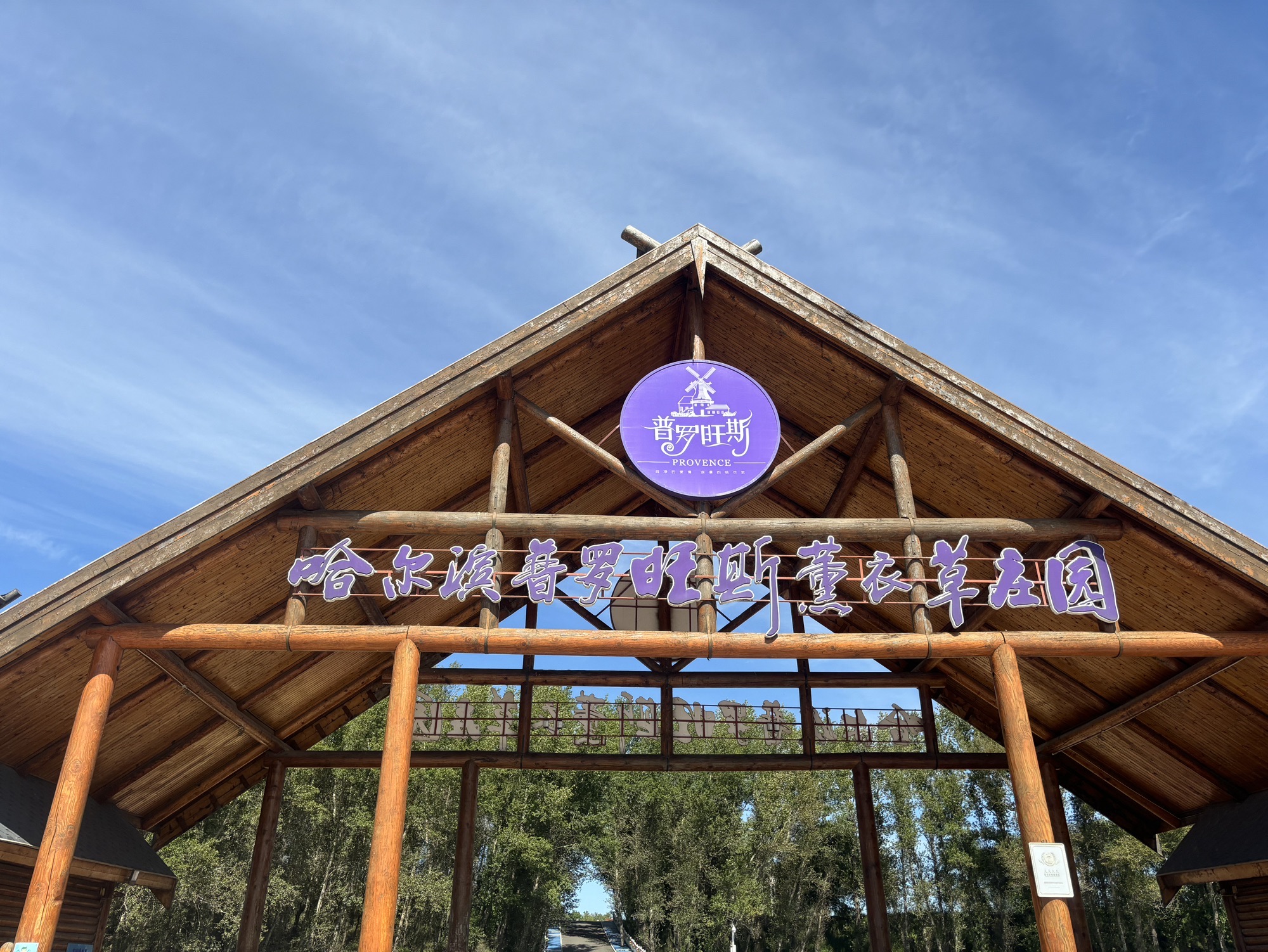 哈尔滨普罗旺斯薰衣草庄园(暂停开放)旅行图片 3
