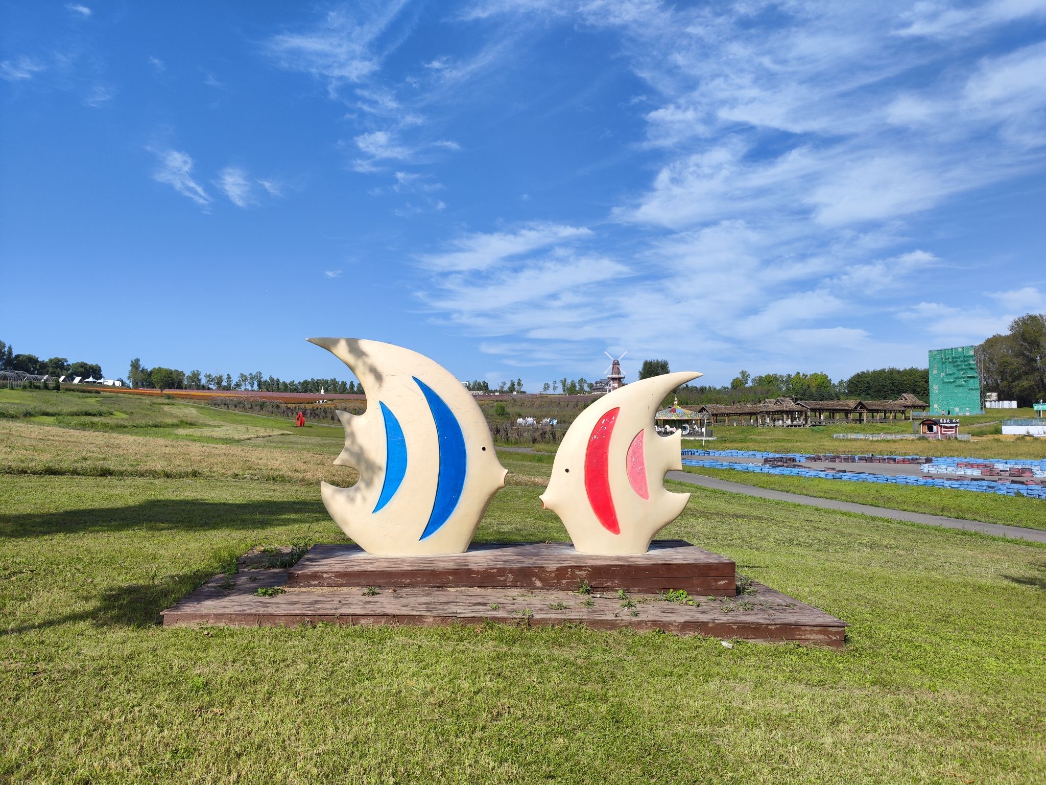 哈尔滨普罗旺斯薰衣草庄园(暂停开放)旅行图片 2