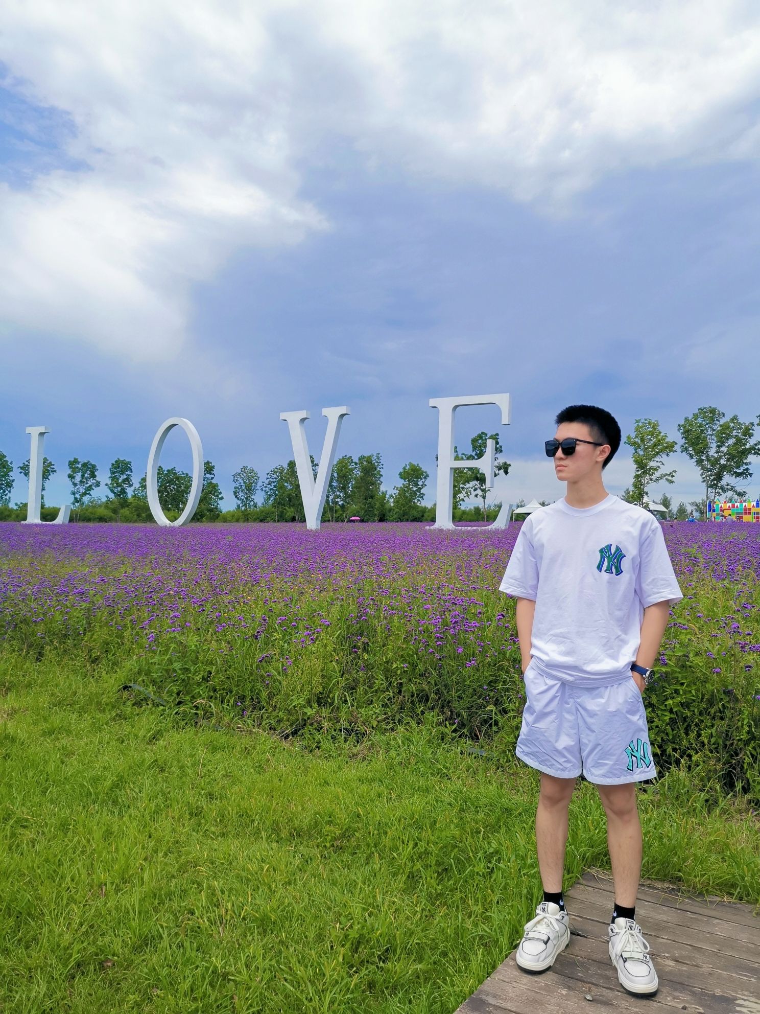 哈尔滨普罗旺斯薰衣草庄园(暂停开放)旅行图片 2