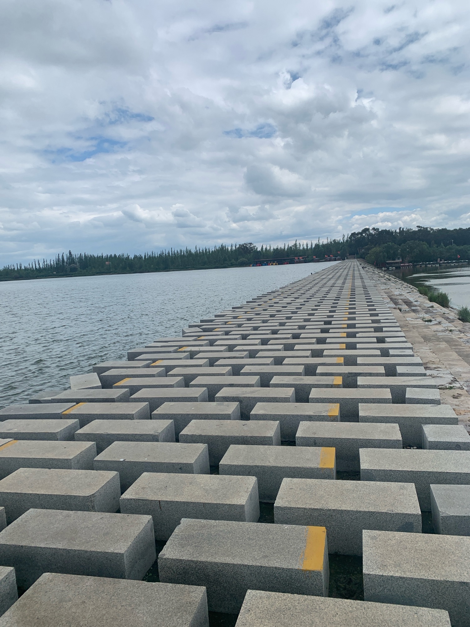鹅毛河湿地公园旅行图片 2