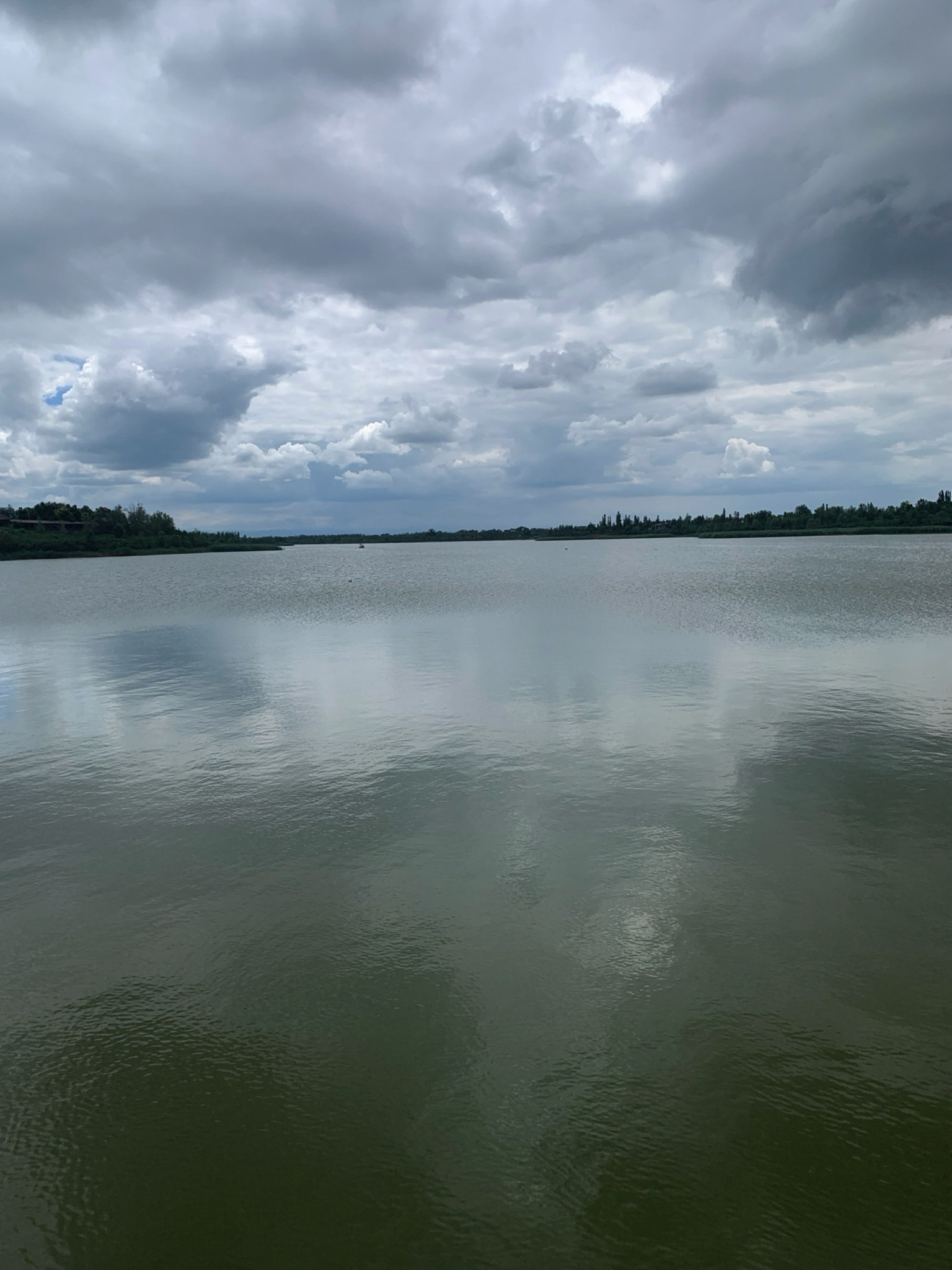 鹅毛河湿地公园旅行图片 1