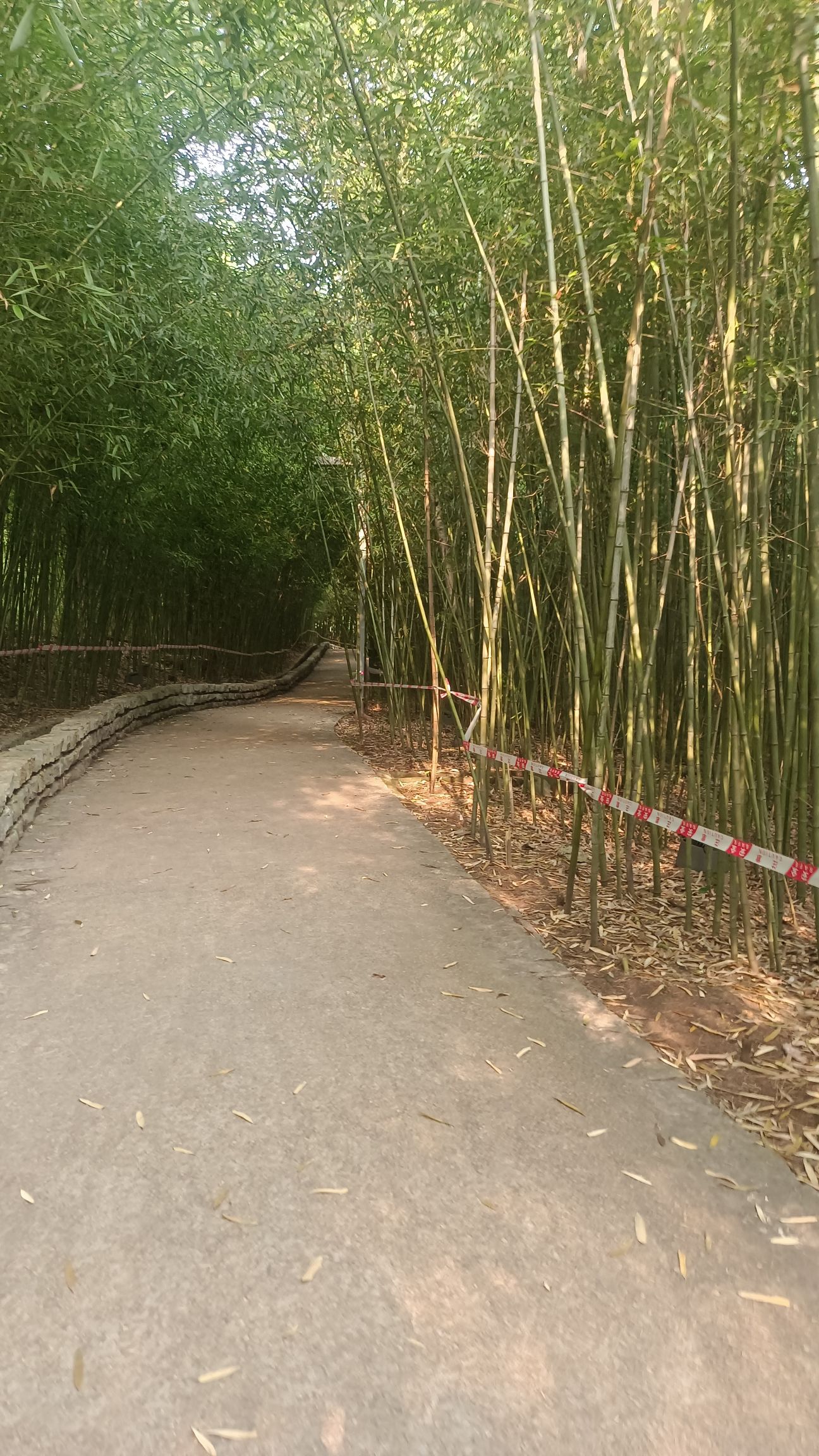 金海湾滨江公园旅行图片 2