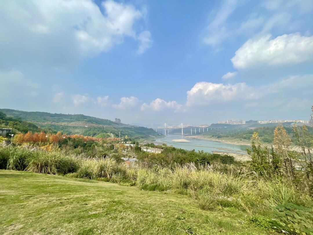 金海湾滨江公园旅行图片 1