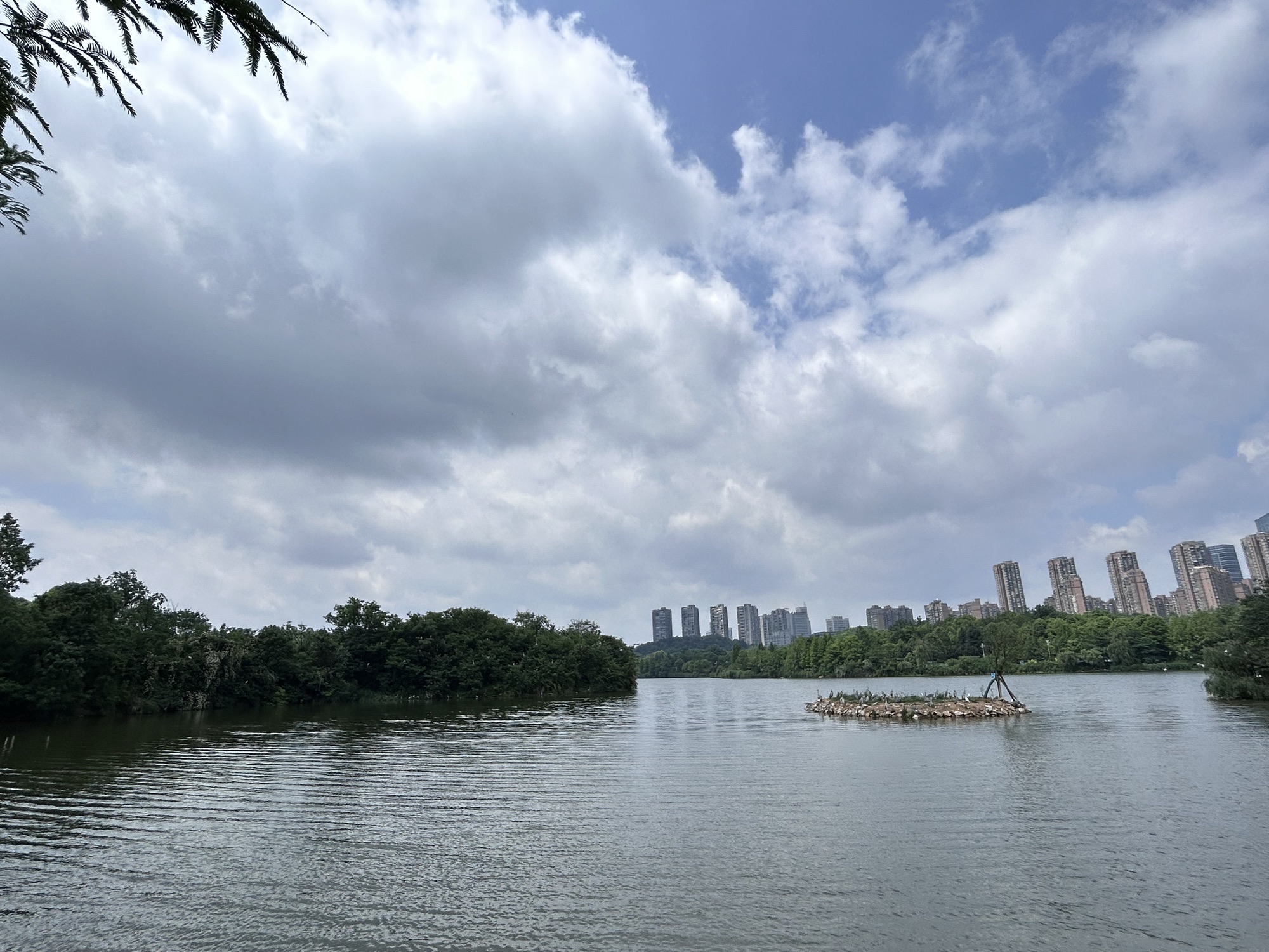 金海湾滨江公园旅行图片 2