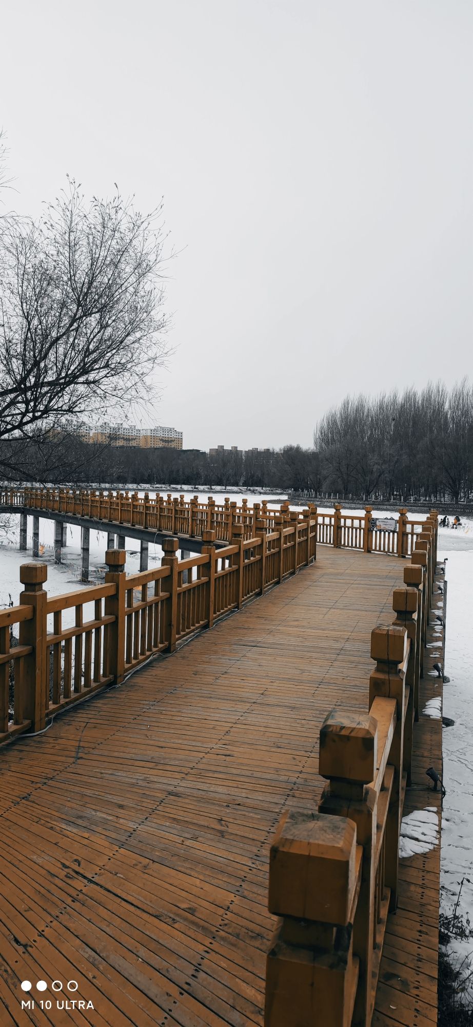 多兰湖公园旅行图片 1