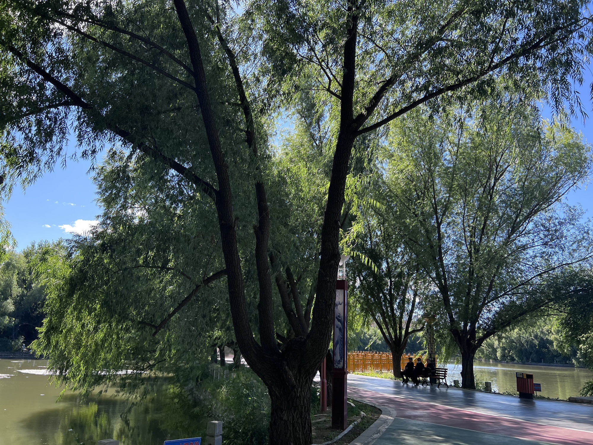 多兰湖公园旅行图片 3