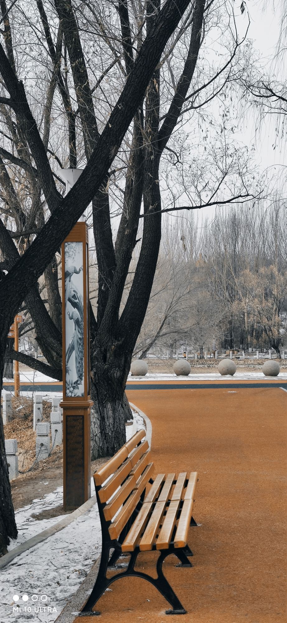 多兰湖公园旅行图片 3