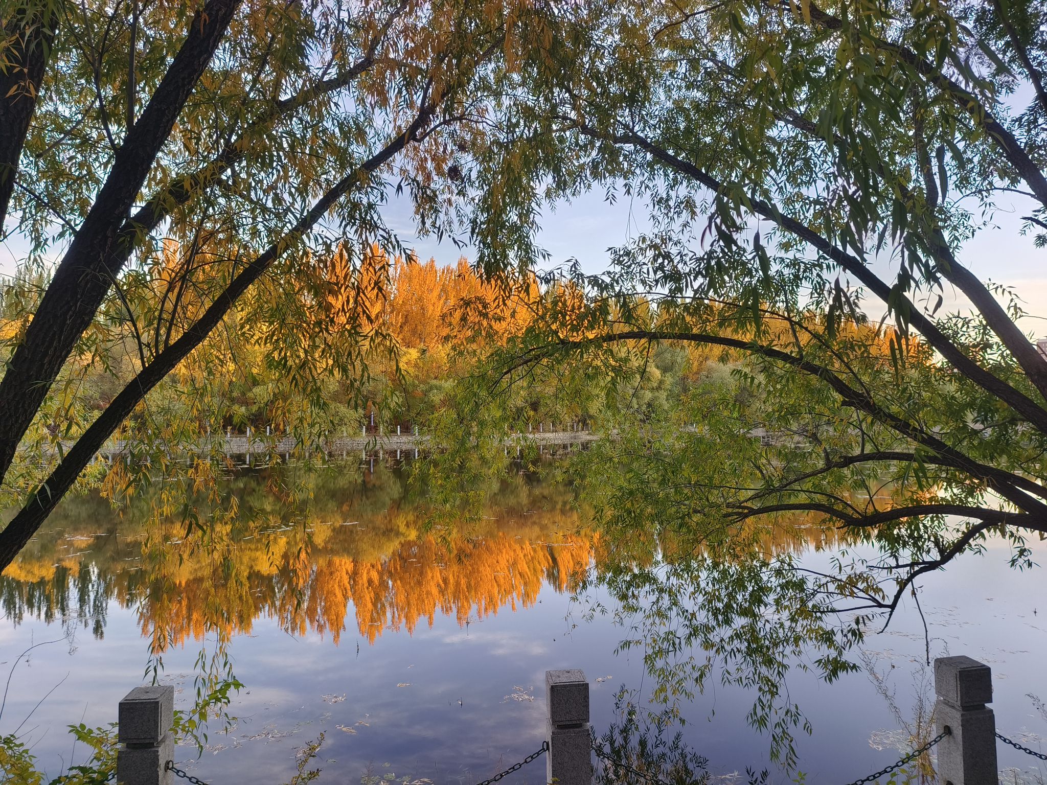 多兰湖公园旅行图片 2