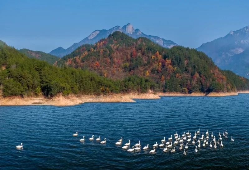 天堂湖国家湿地公园风景区