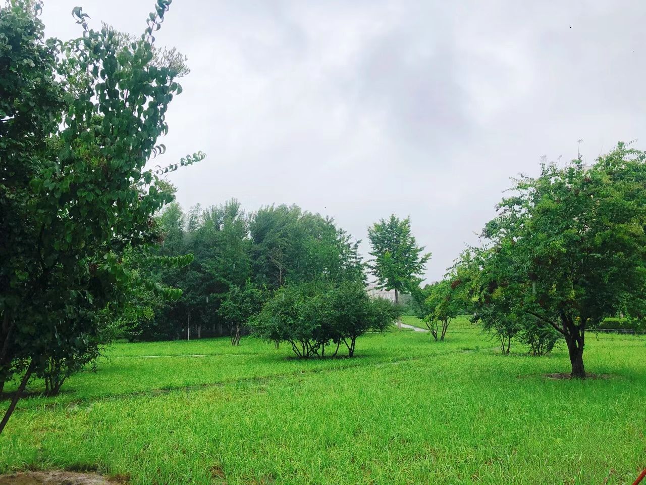 石博园旅行图片 2