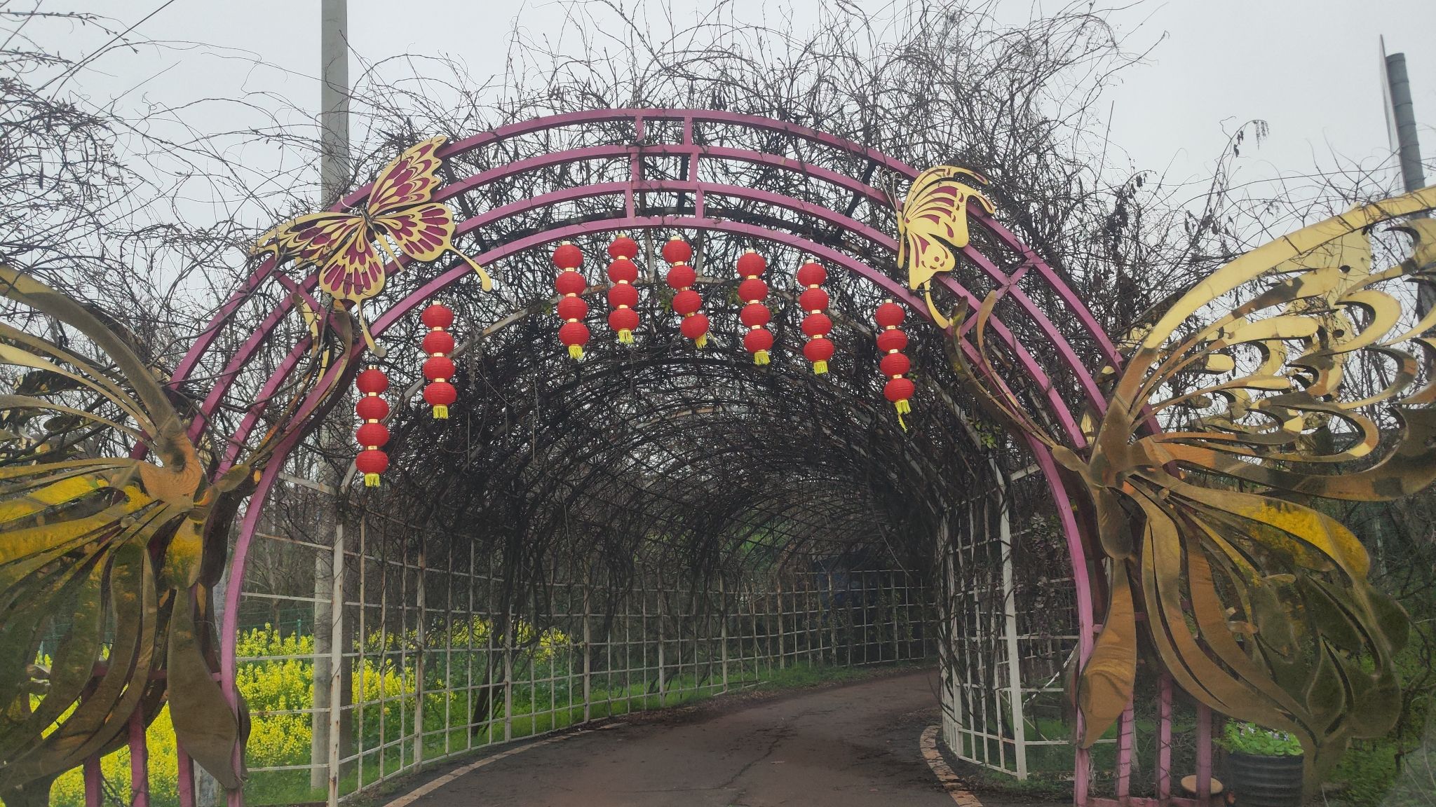 百万花海旅行图片 3