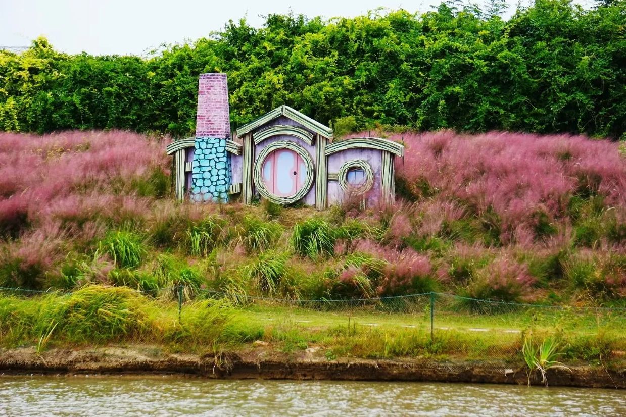 百万花海旅行图片 3