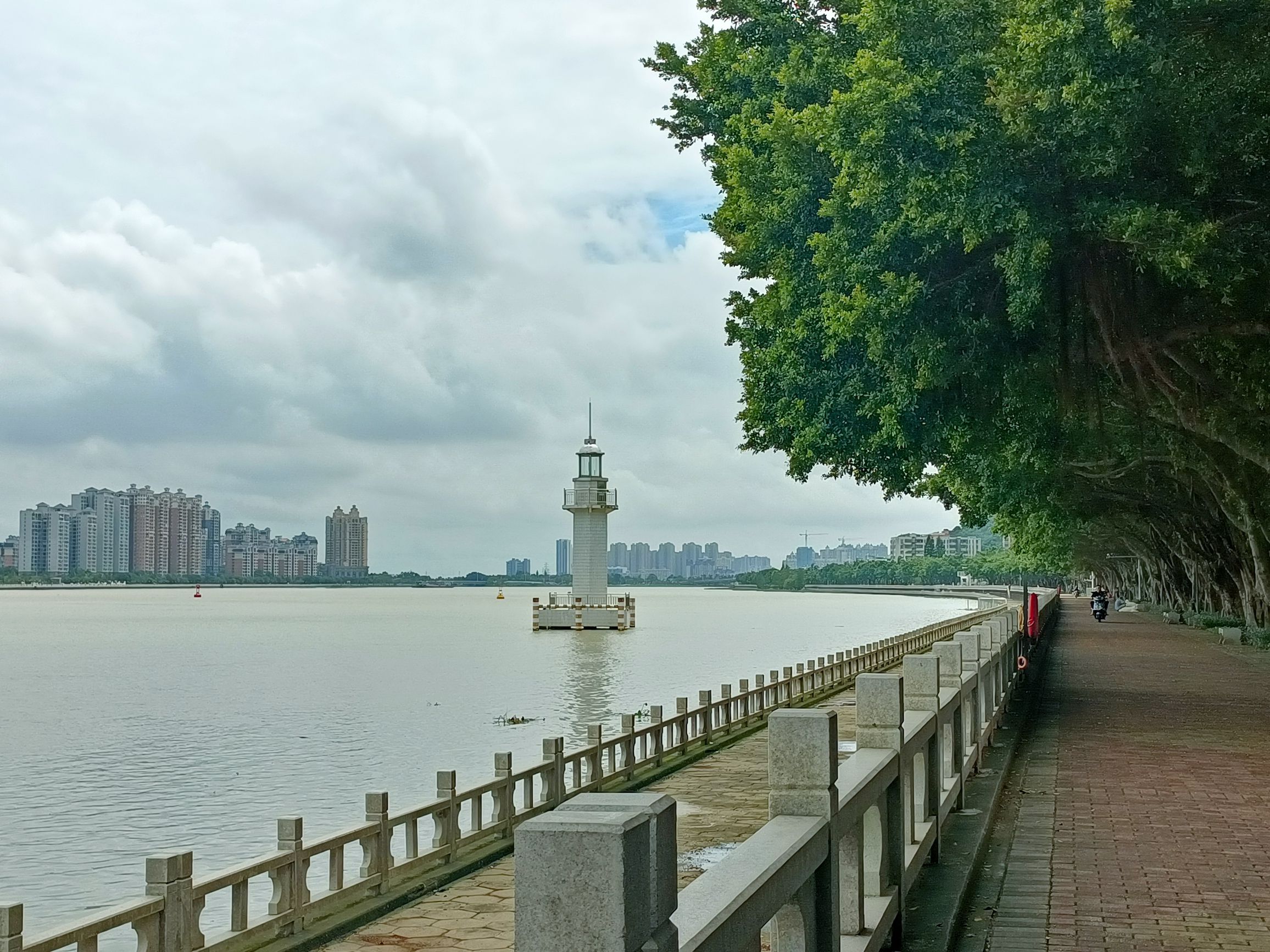 井岸西堤公园旅行图片 2