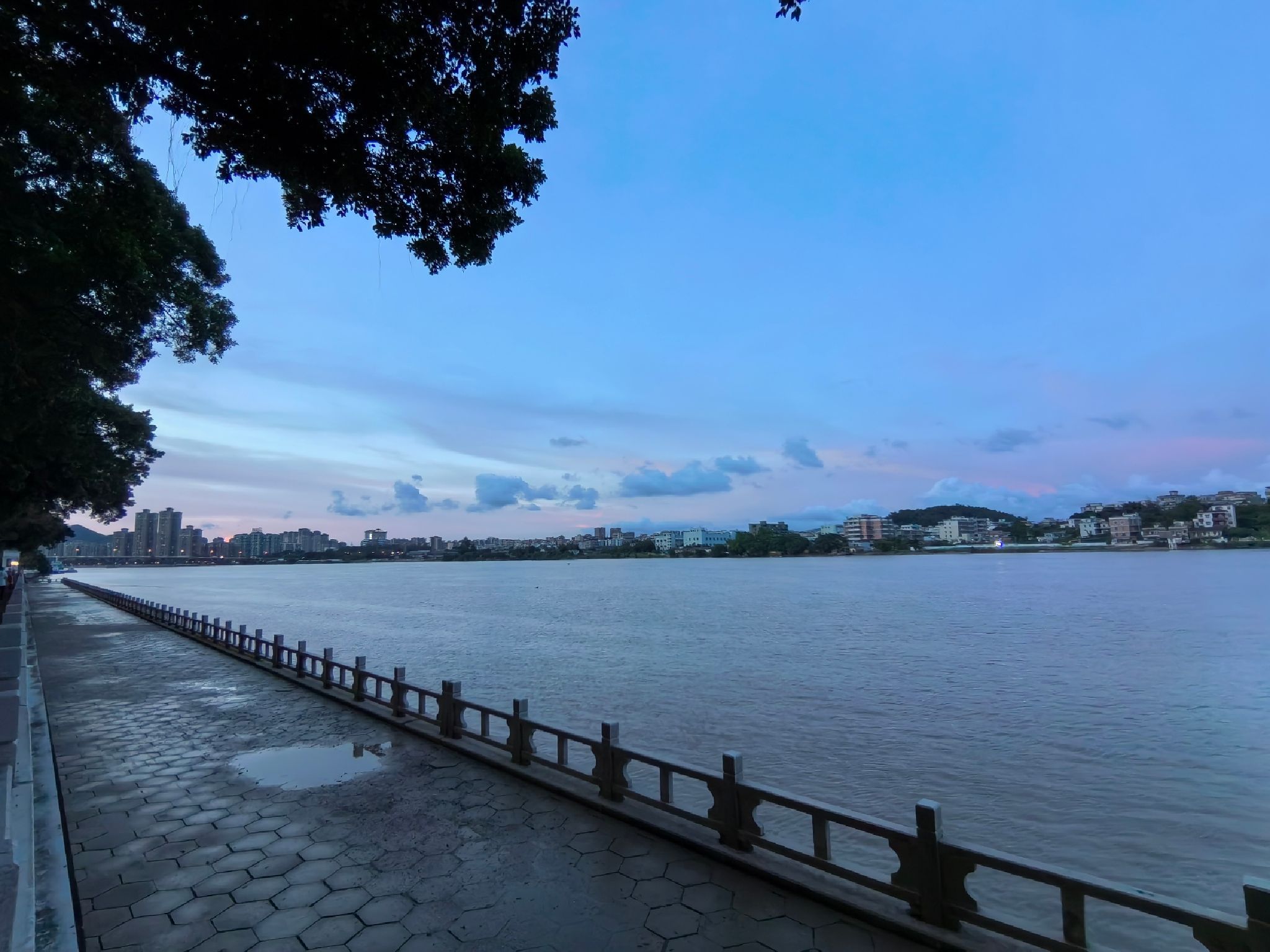 井岸西堤公园旅行图片 2