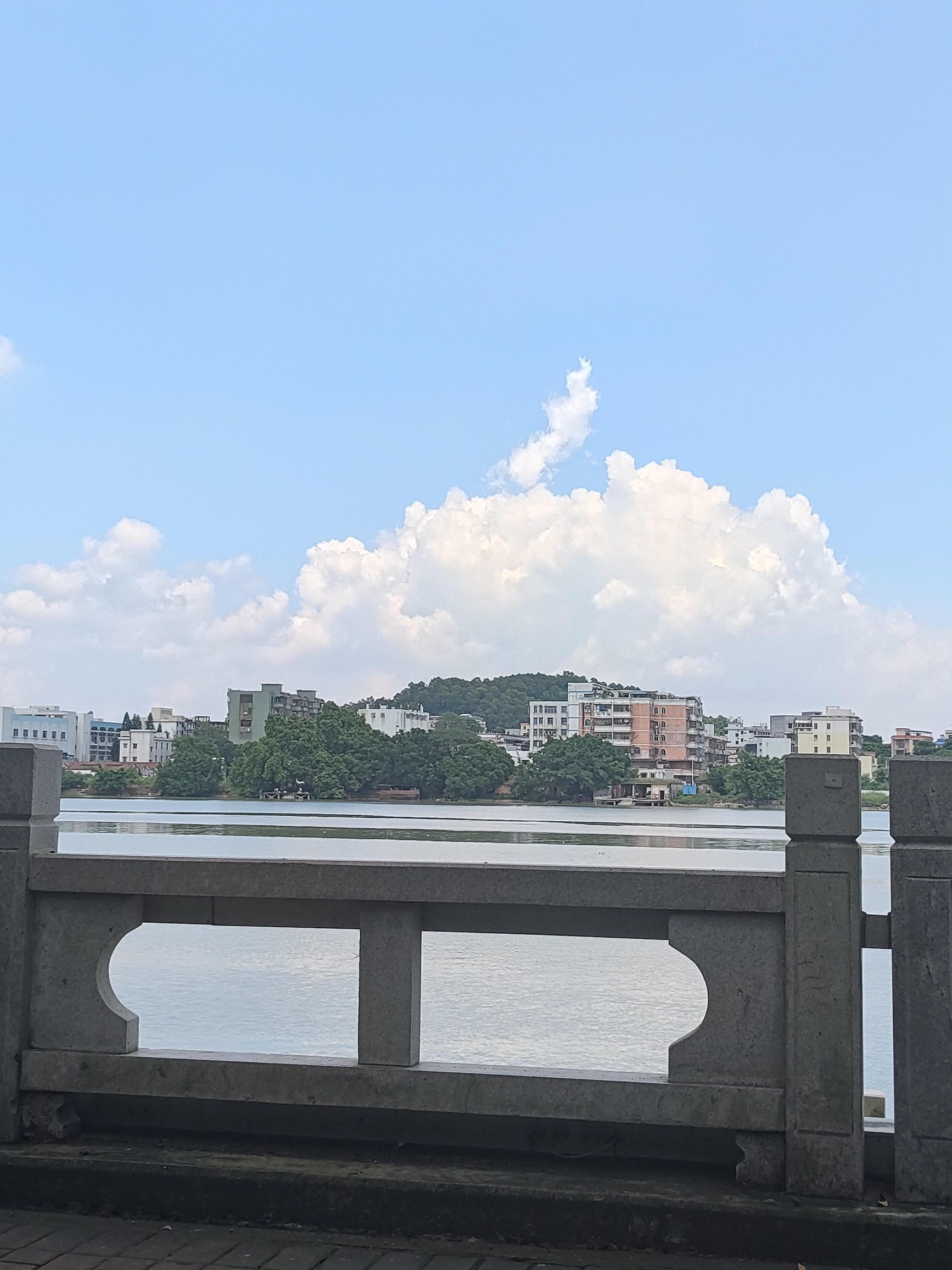 井岸西堤公园旅行图片 1