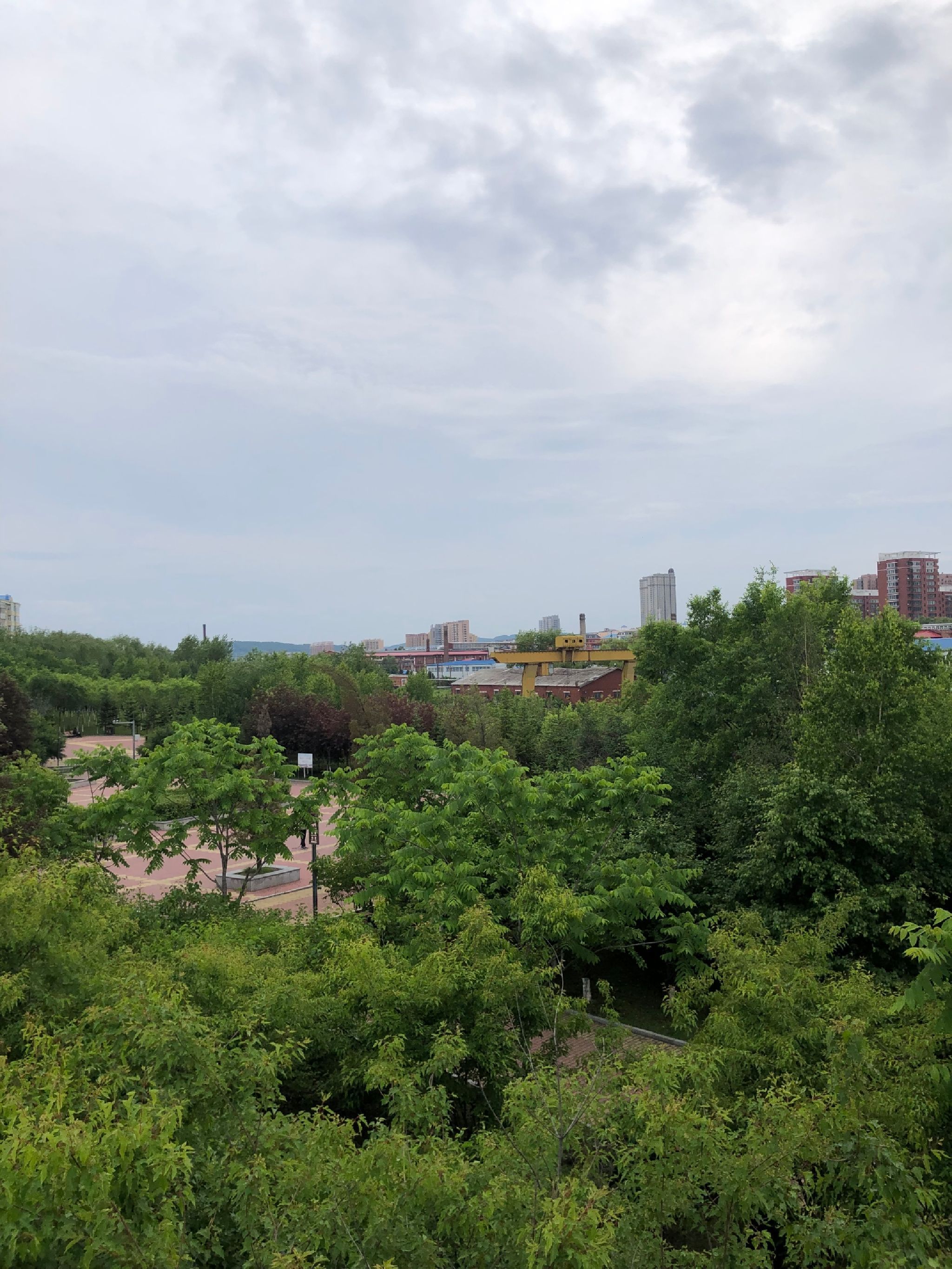 东山桥公园旅行图片 3
