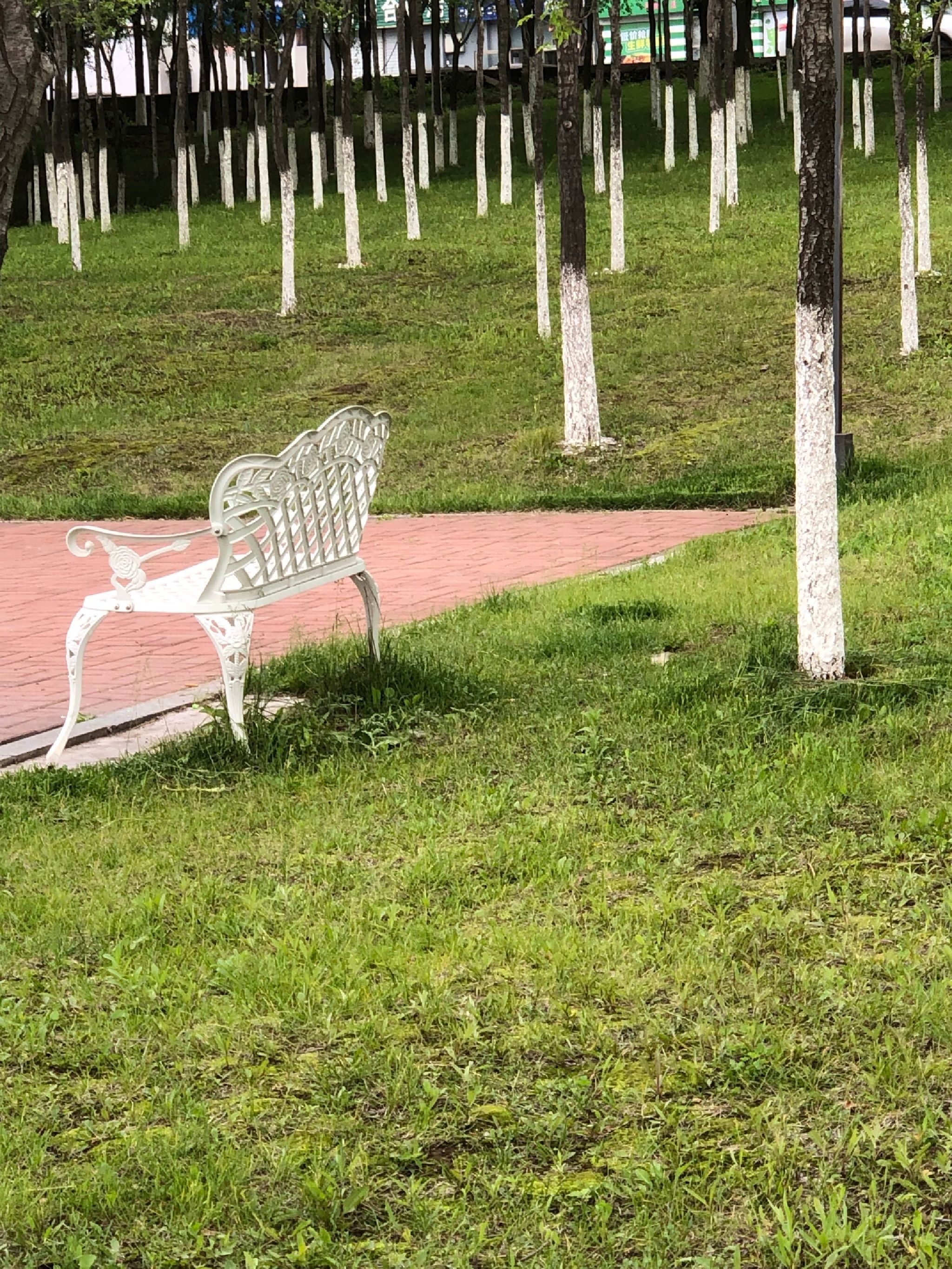 东山桥公园旅行图片 2