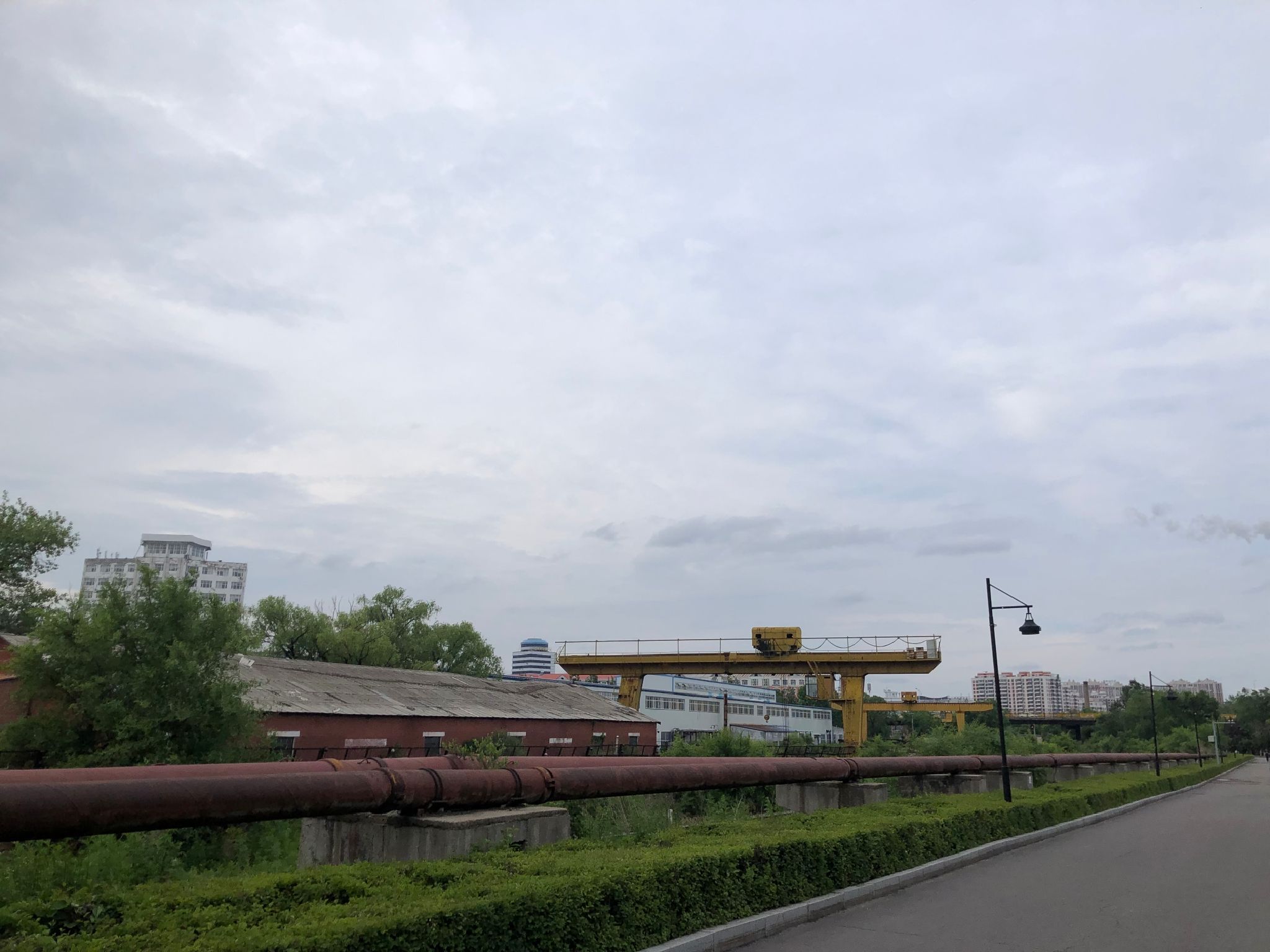东山桥公园旅行图片 1