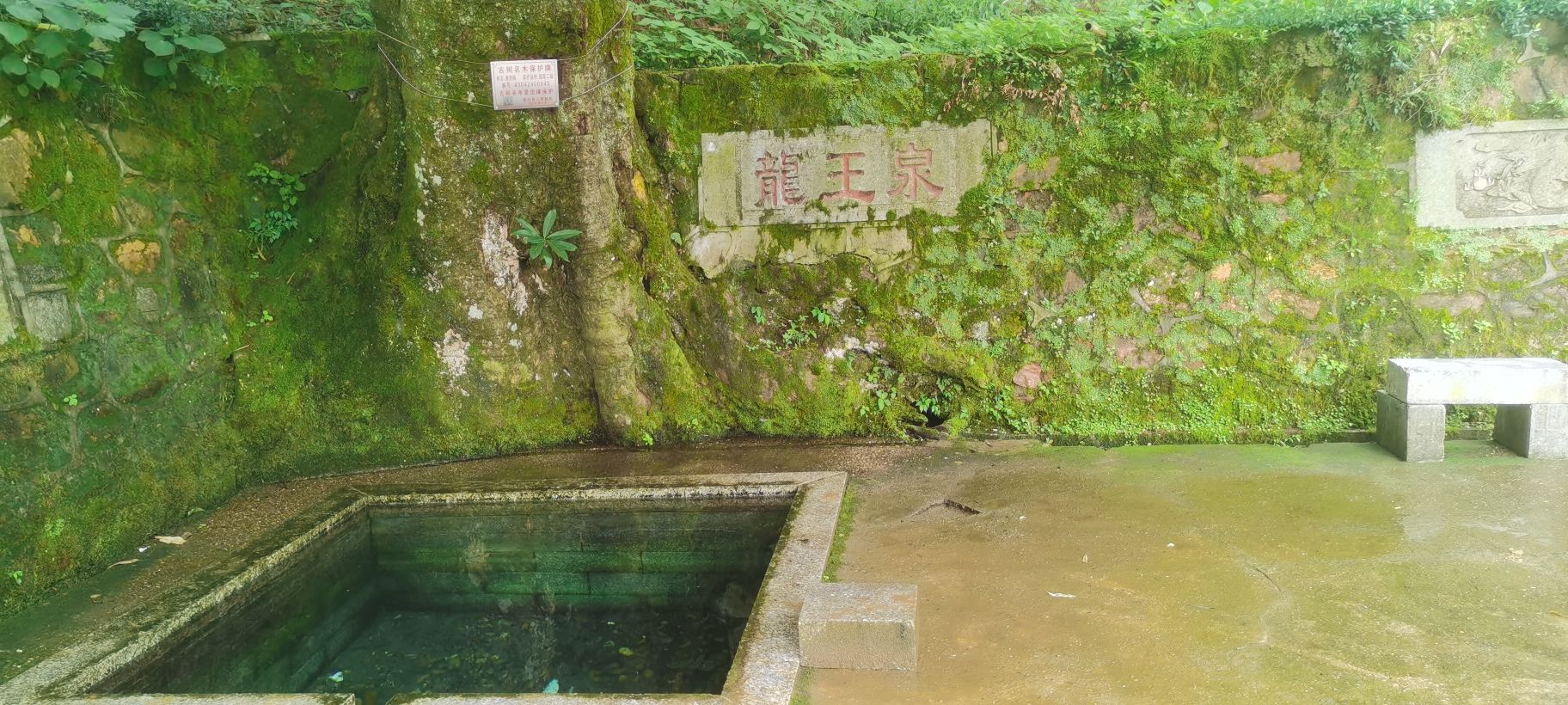 衡东四方山森林公园旅行图片 1
