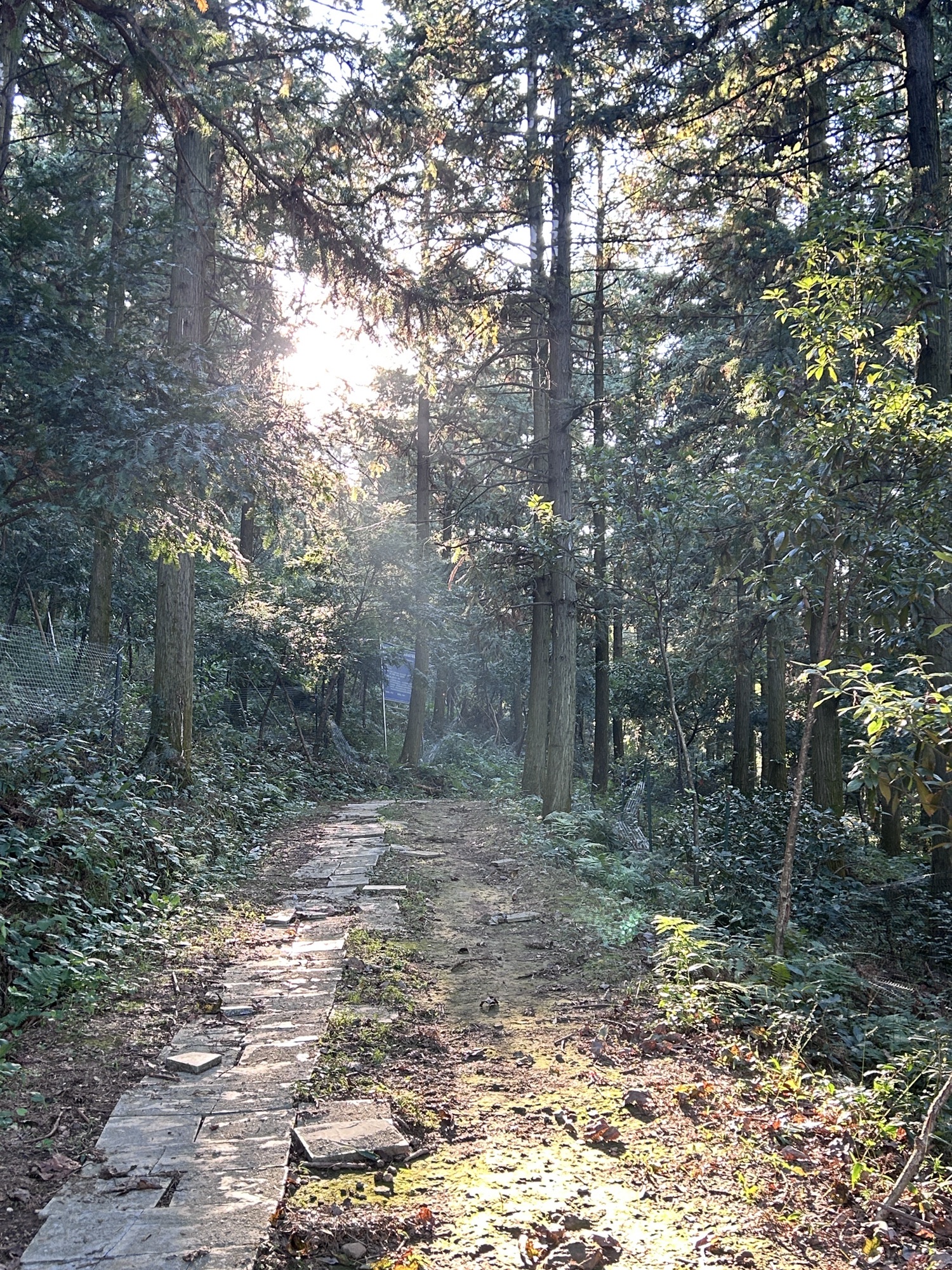 衡东四方山森林公园旅行图片 2